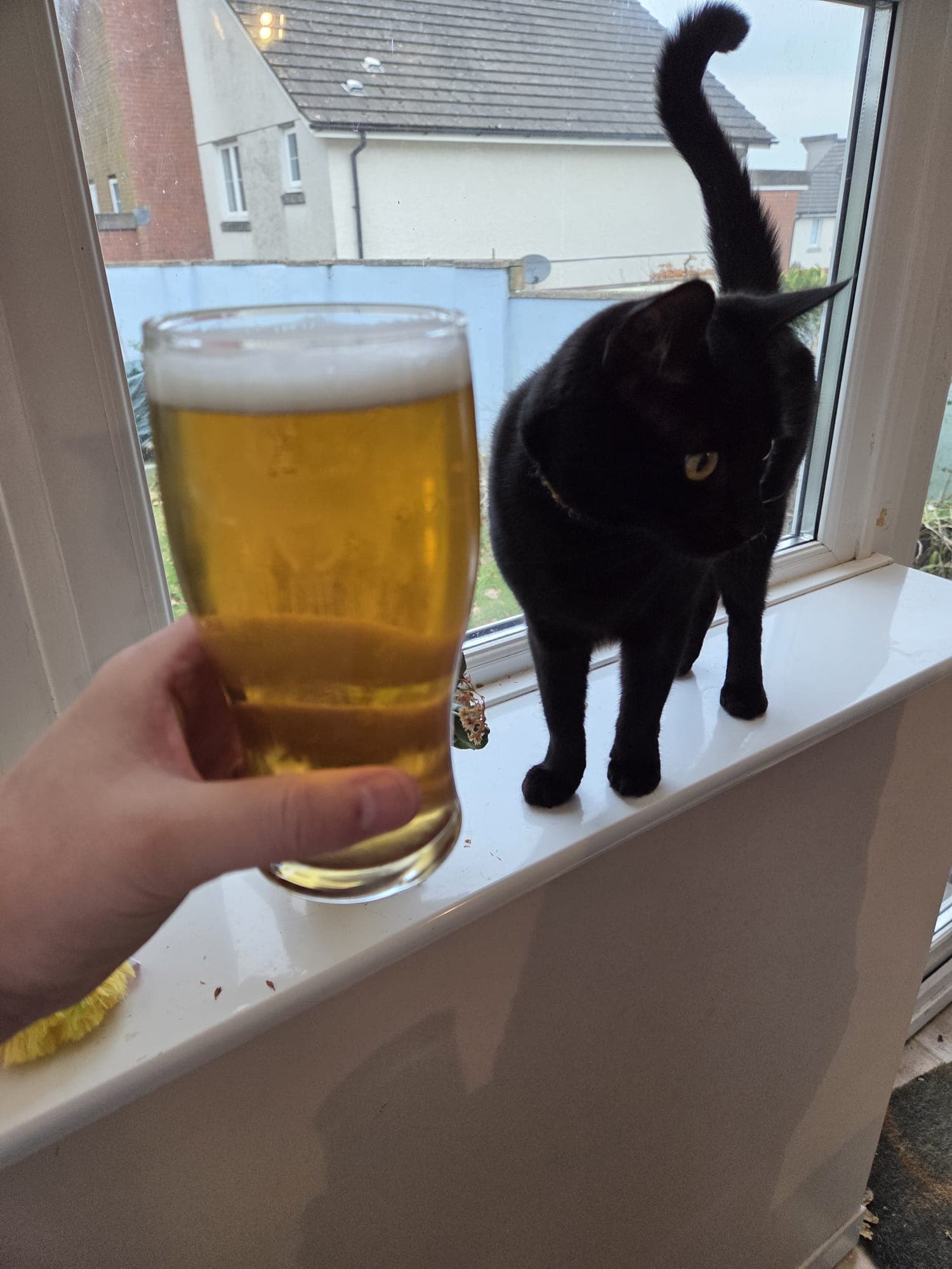 Beer #57