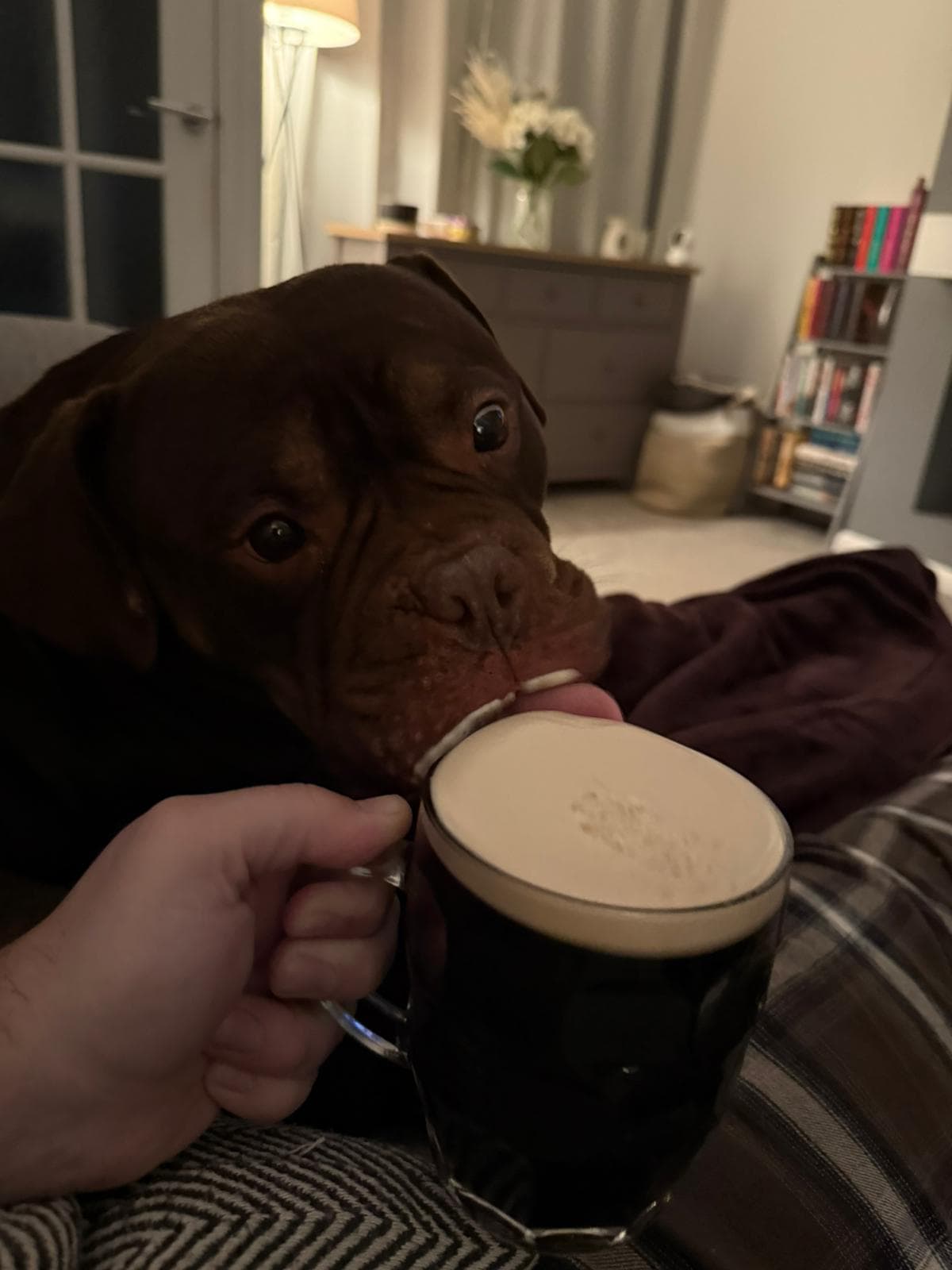 Beer #186