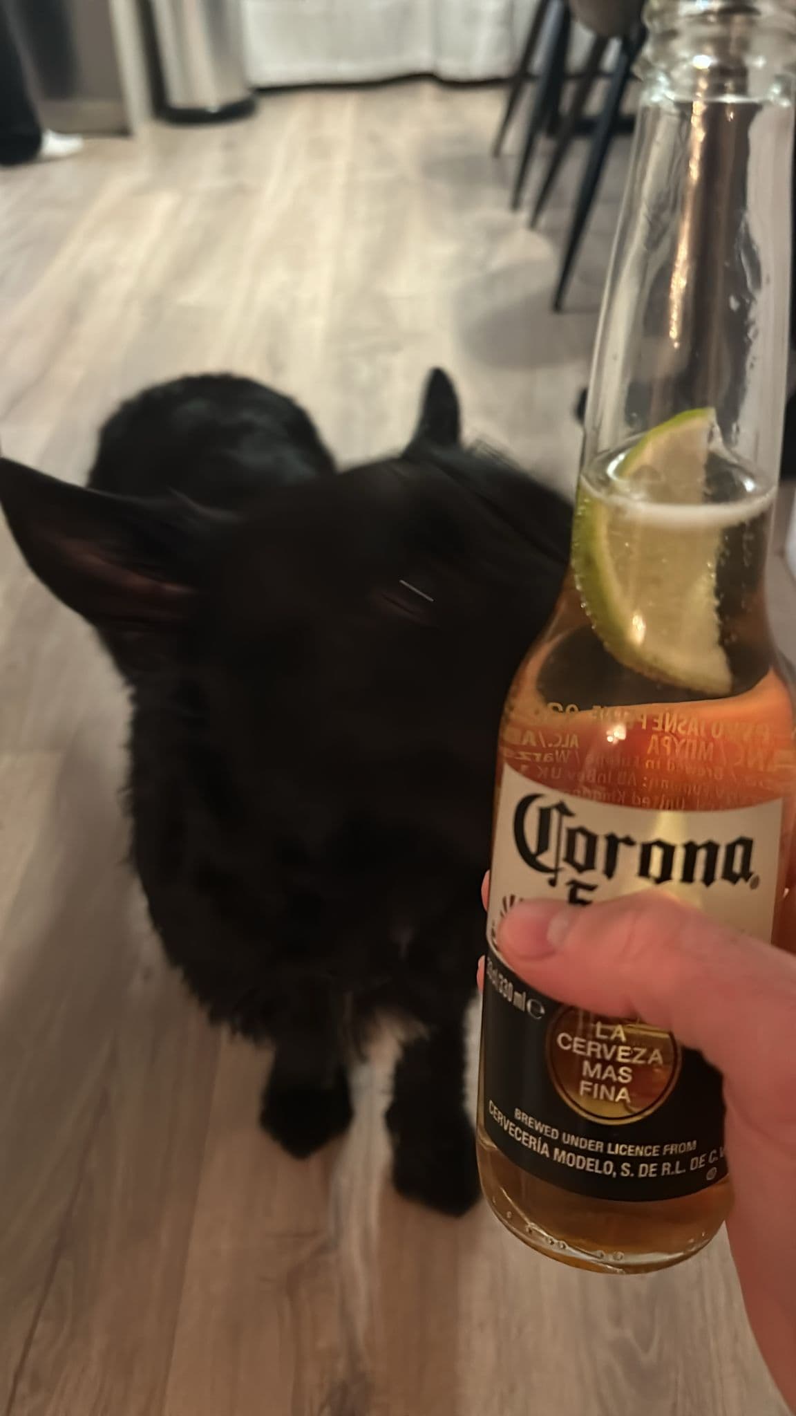 Beer #835