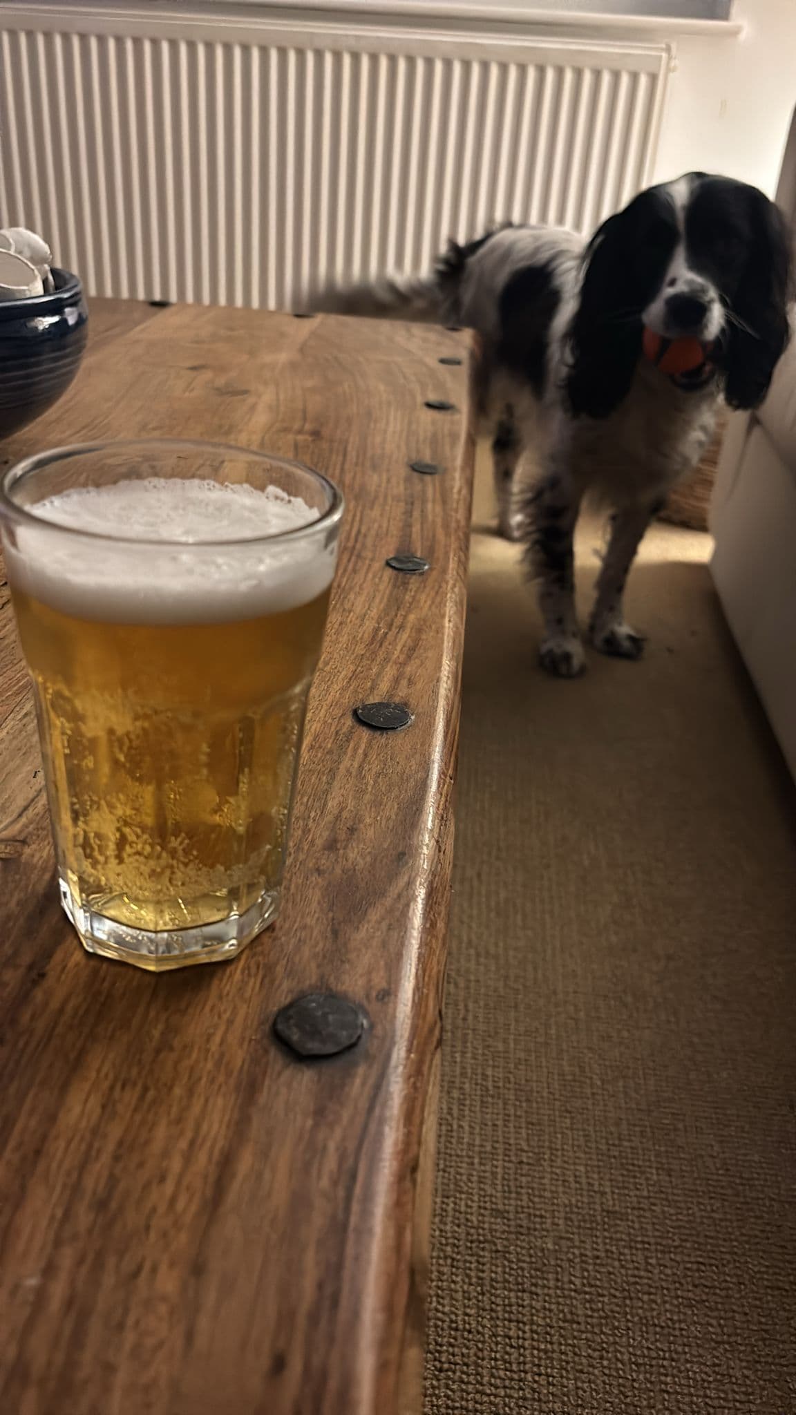 Beer #2135