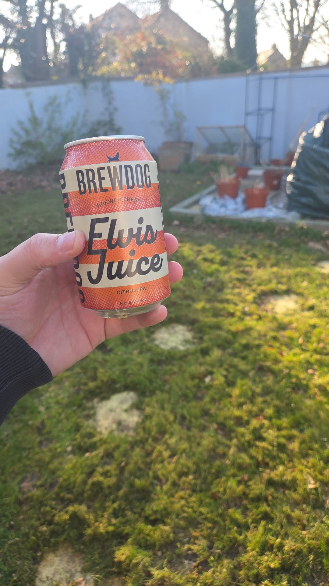Beer #2788