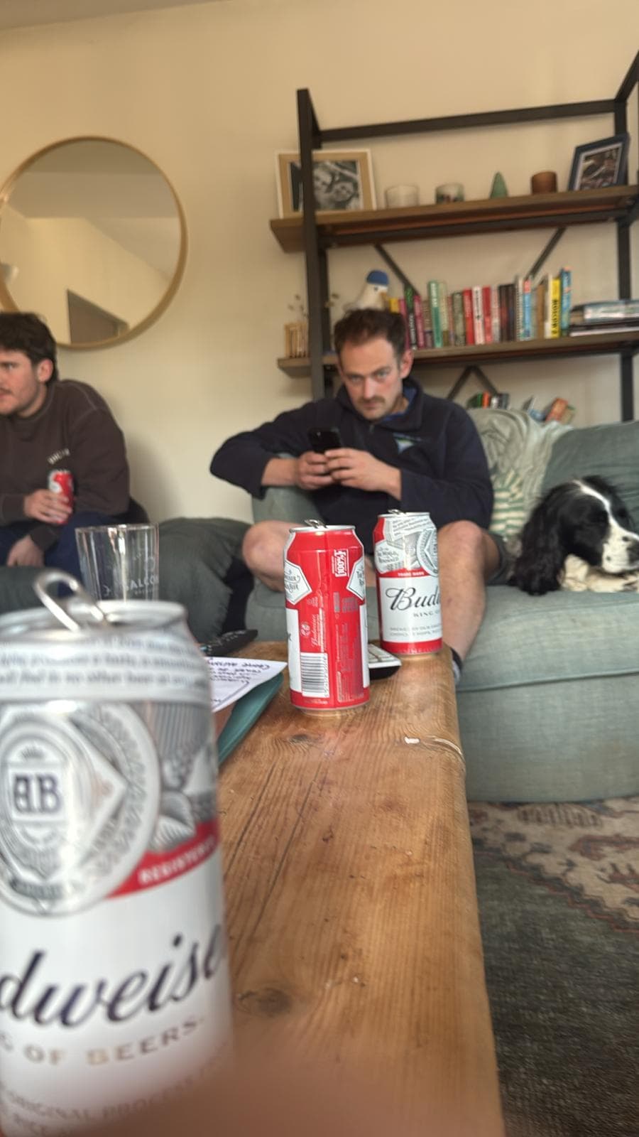 Beer #2941