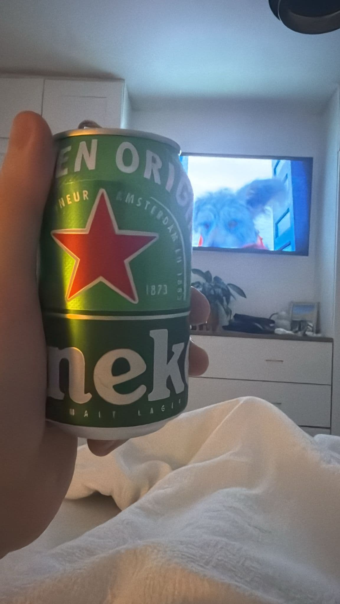 Beer #3513
