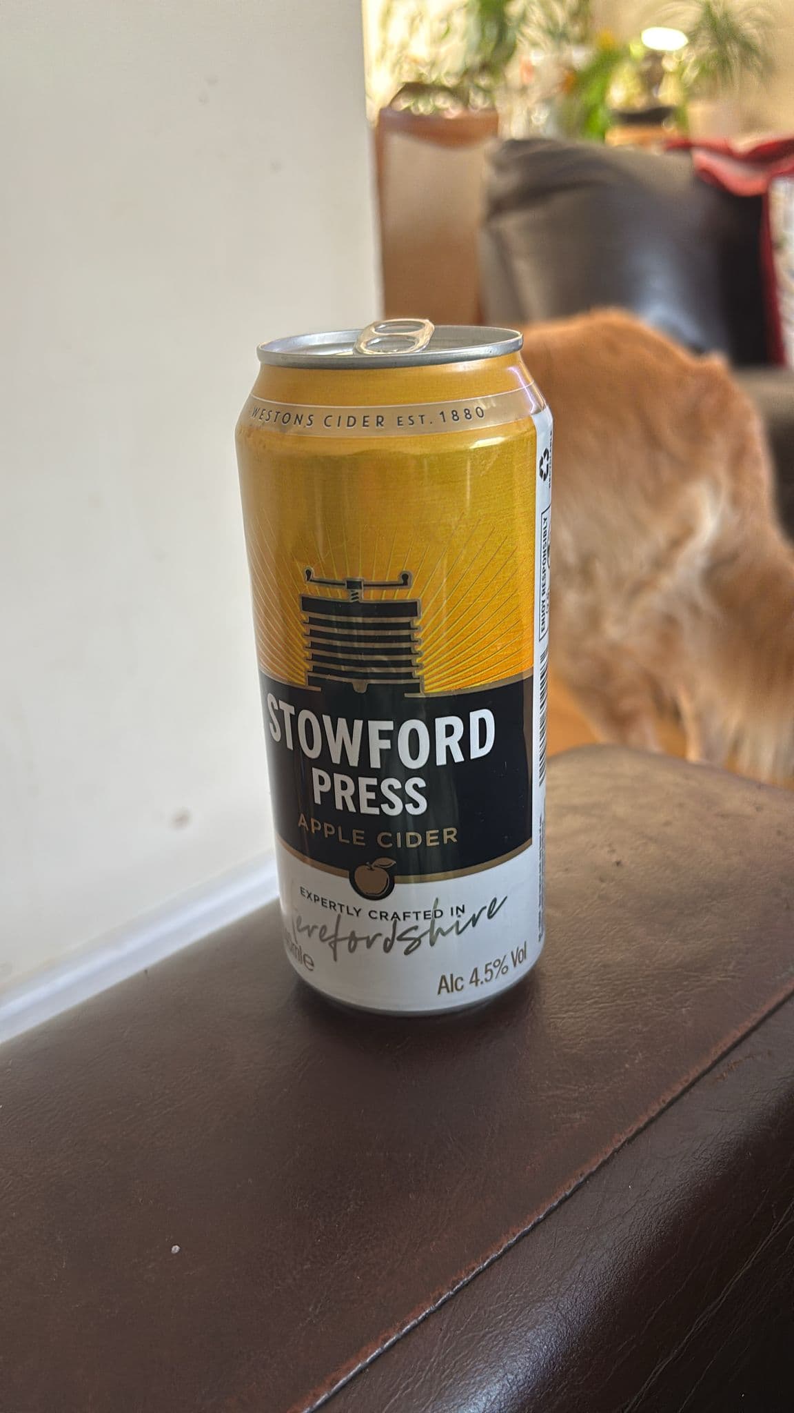 Beer #3569