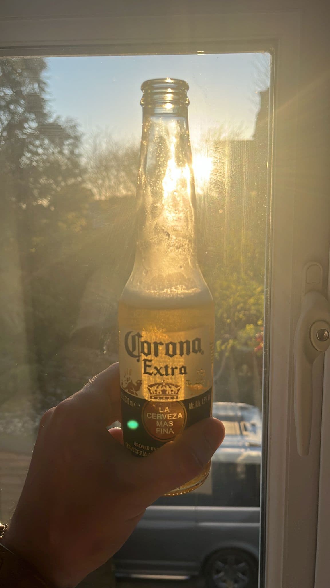 Beer #3900