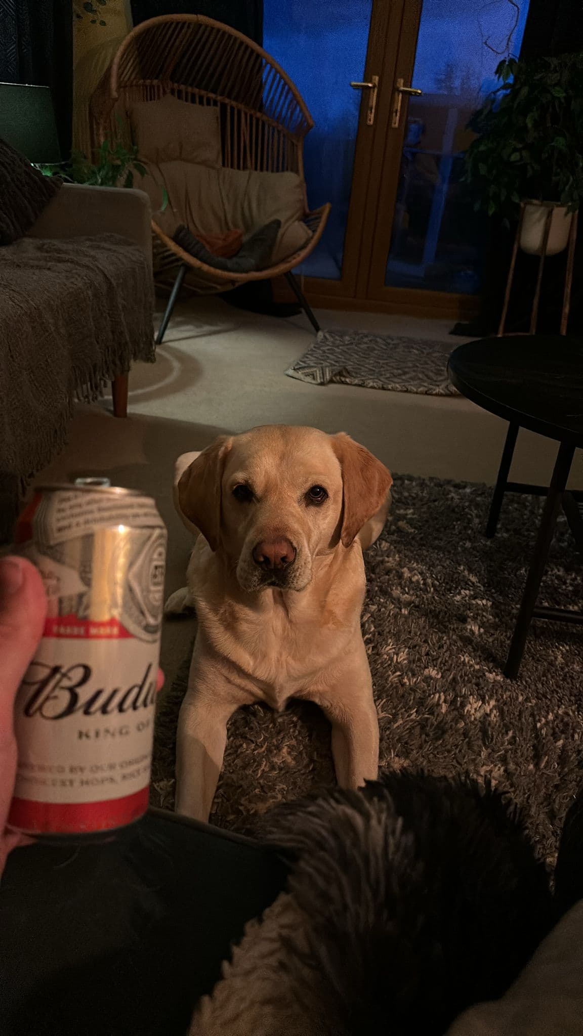 Beer #3918