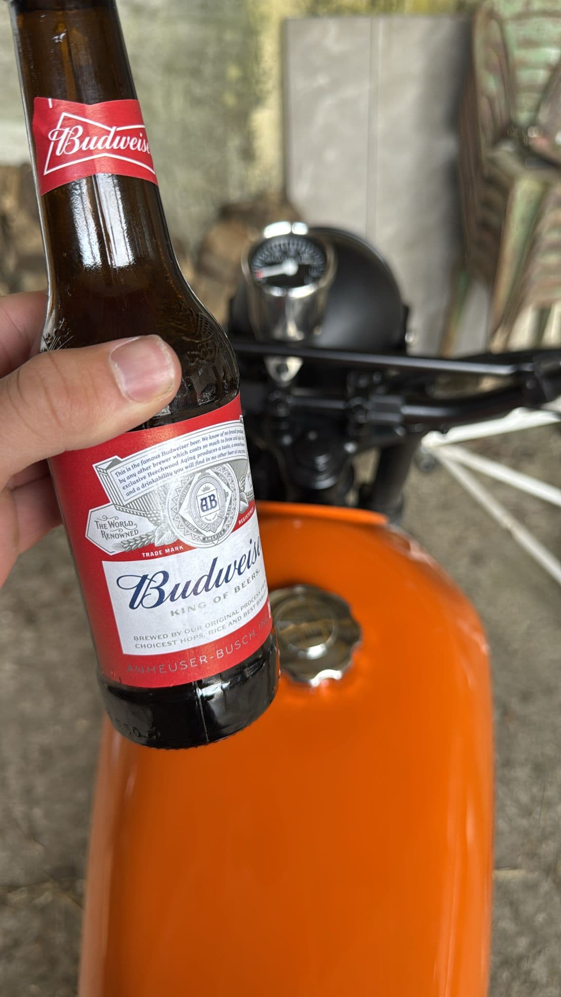 Beer #4311