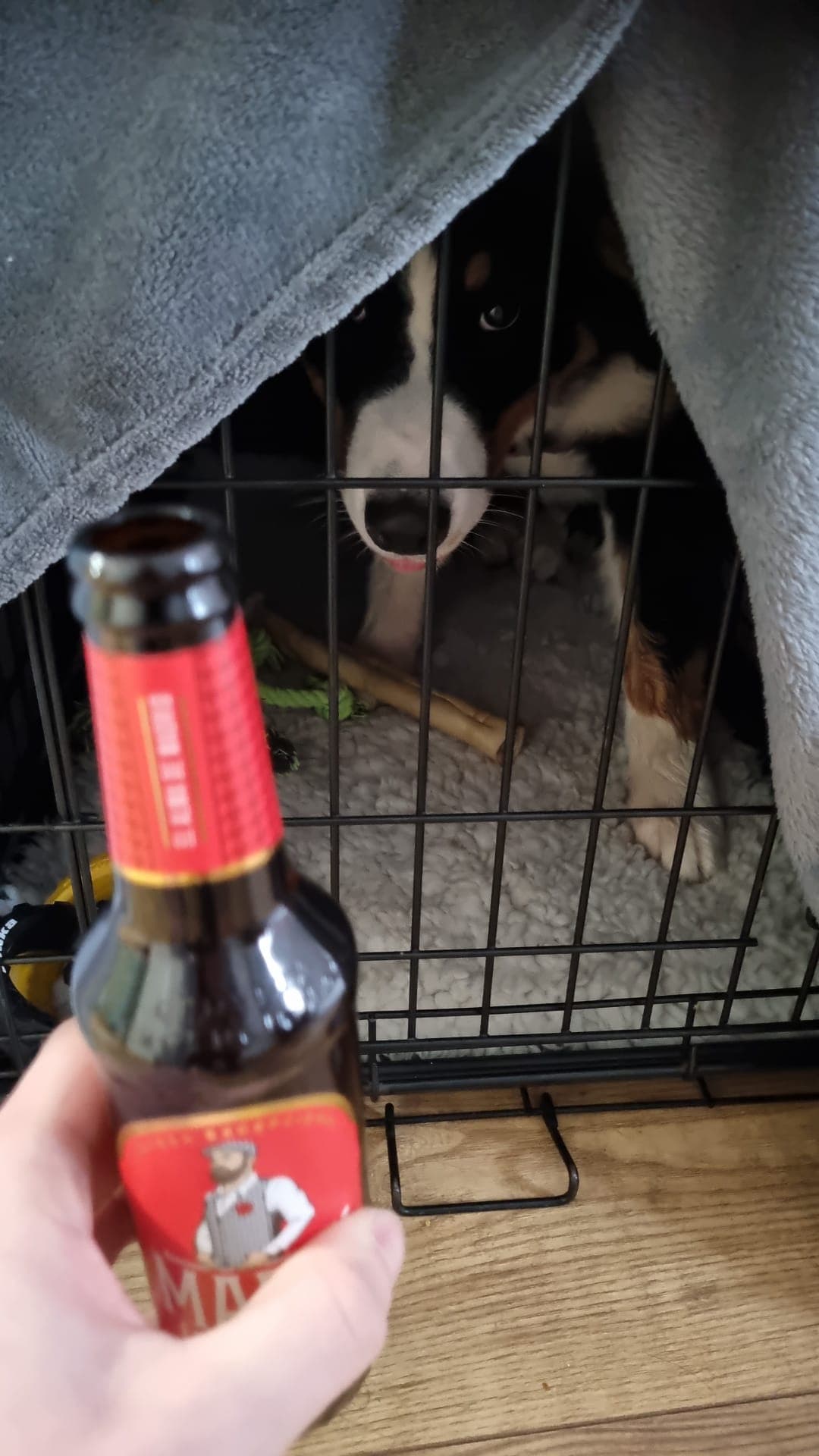Beer #4334