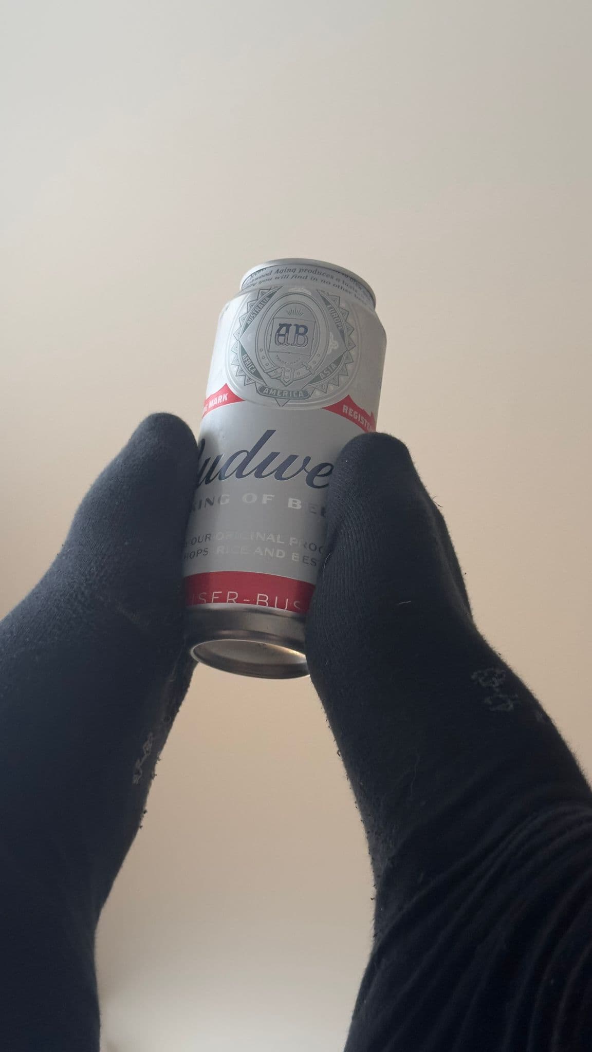 Beer #4829