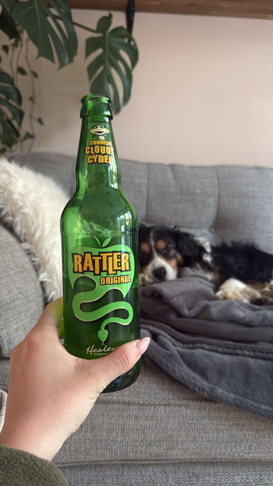 Beer #5259