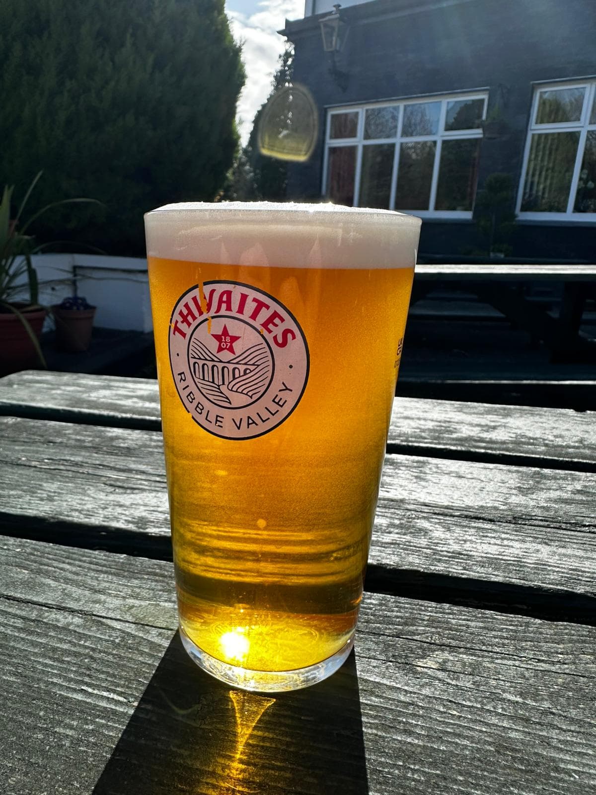 Beer #5348