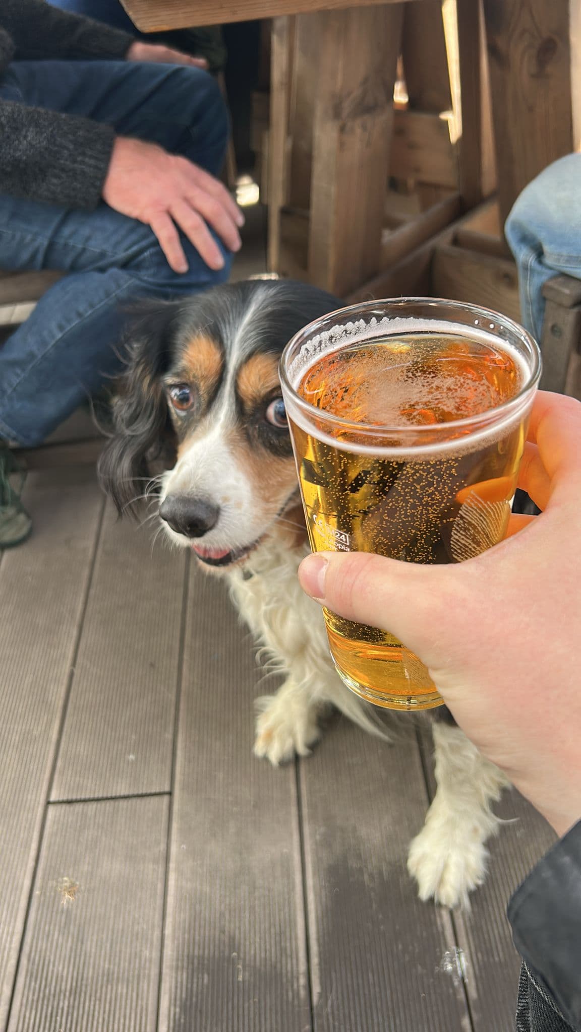 Beer #5523
