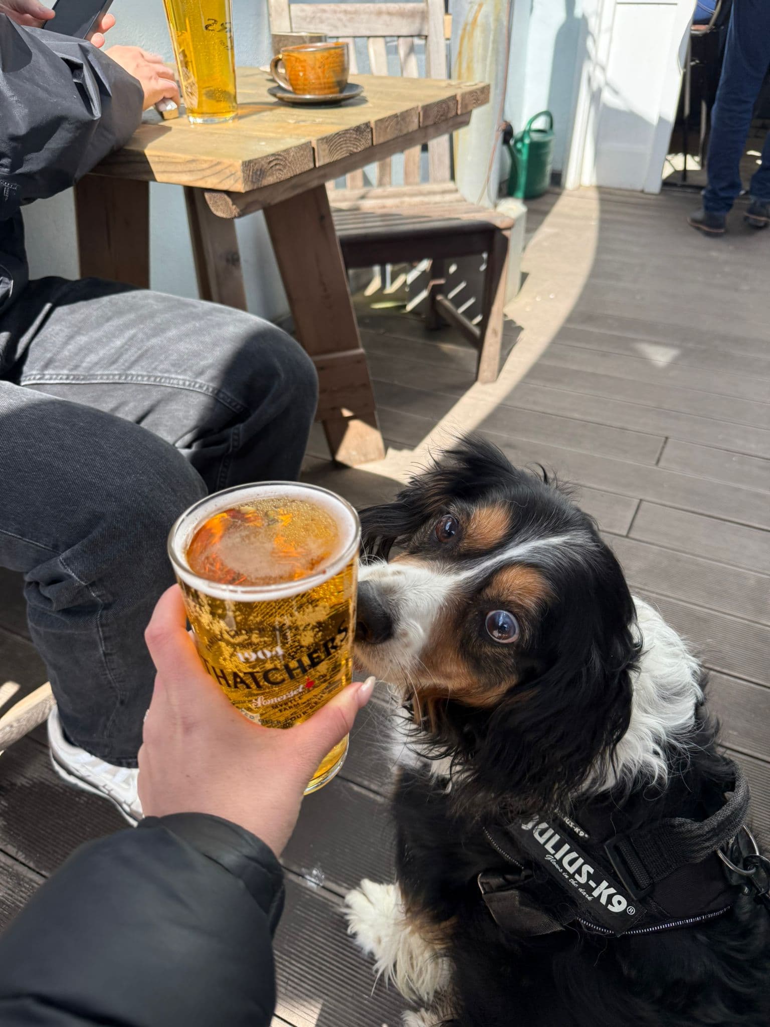 Beer #5524