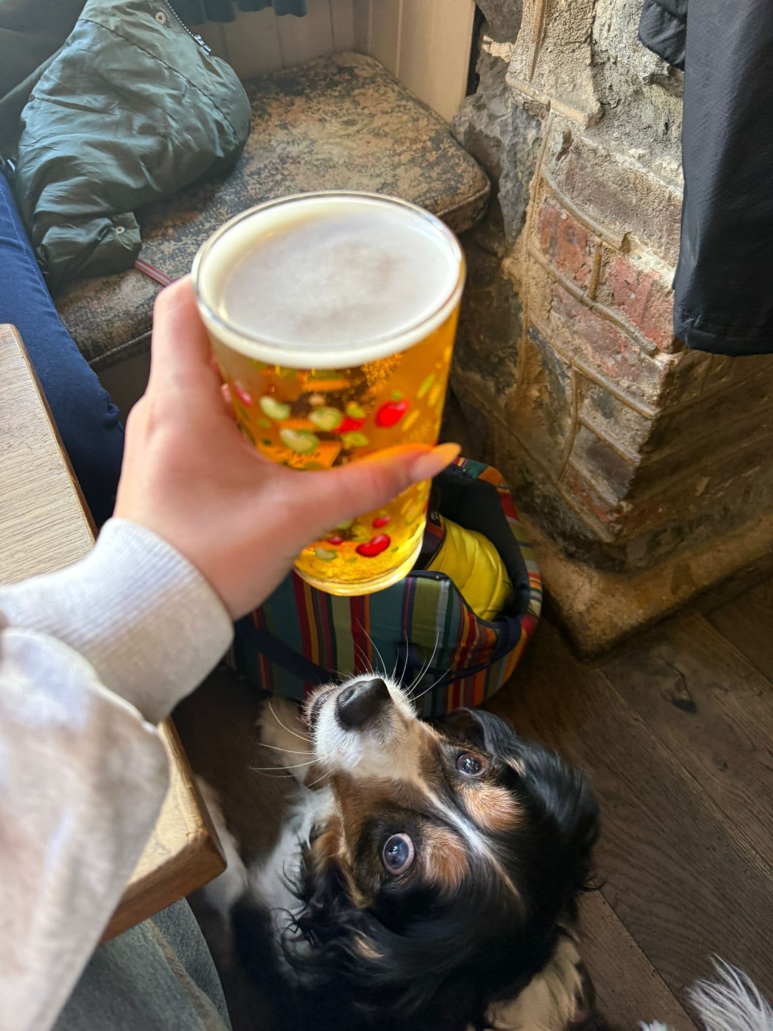 Beer #5575