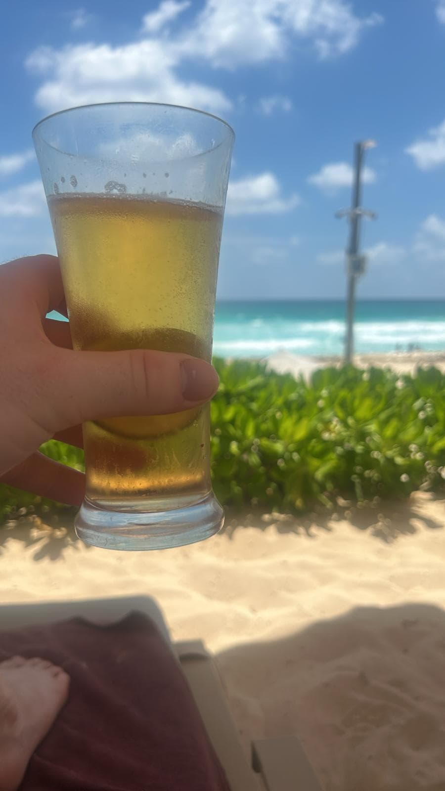 Beer #6183