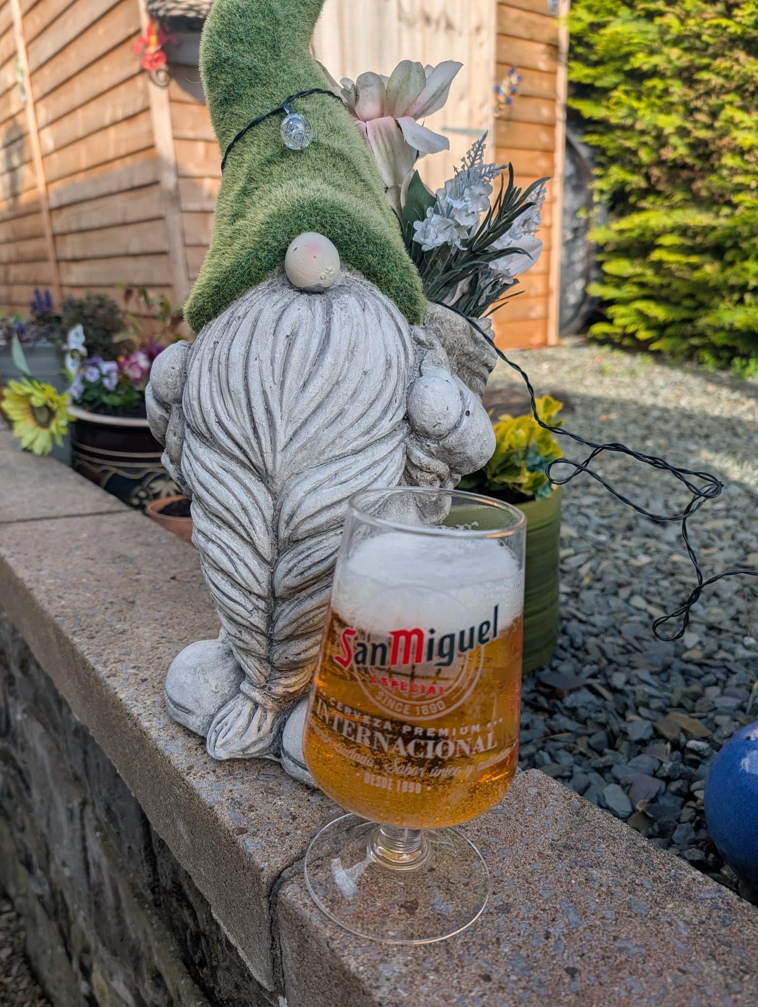 Beer #6584