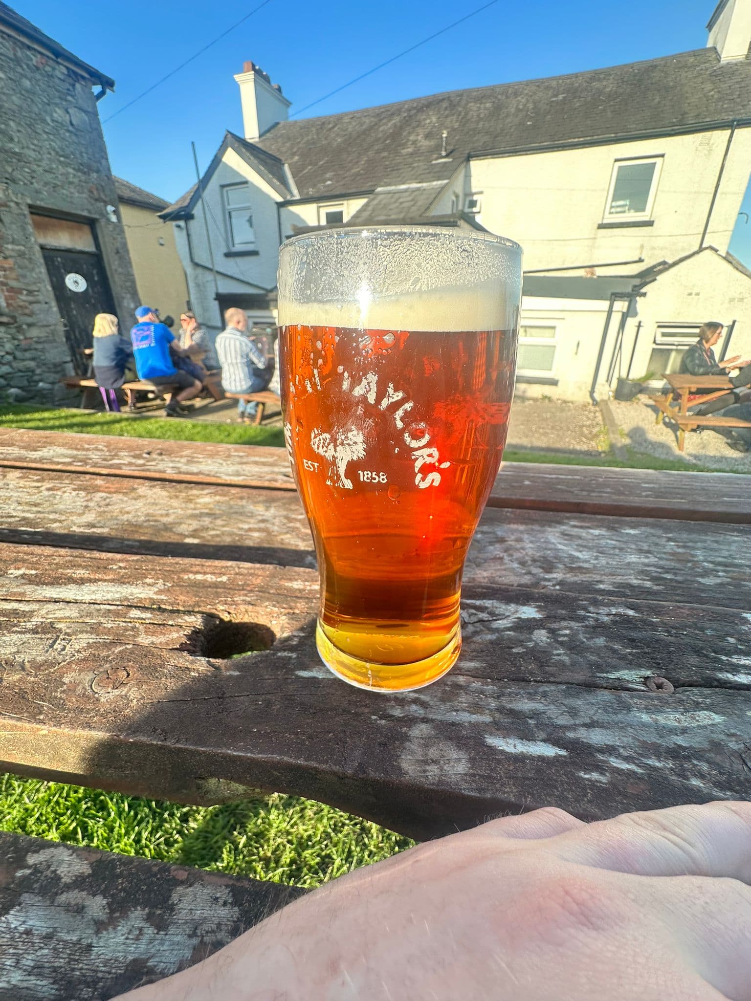 Beer #7229