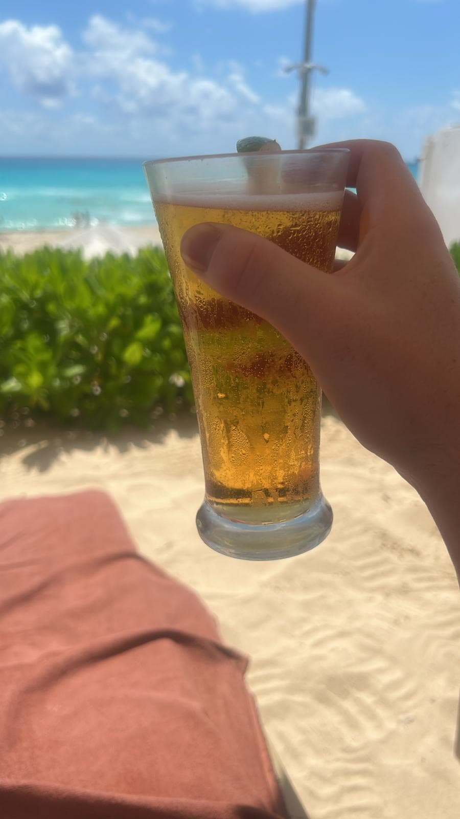 Beer #7102