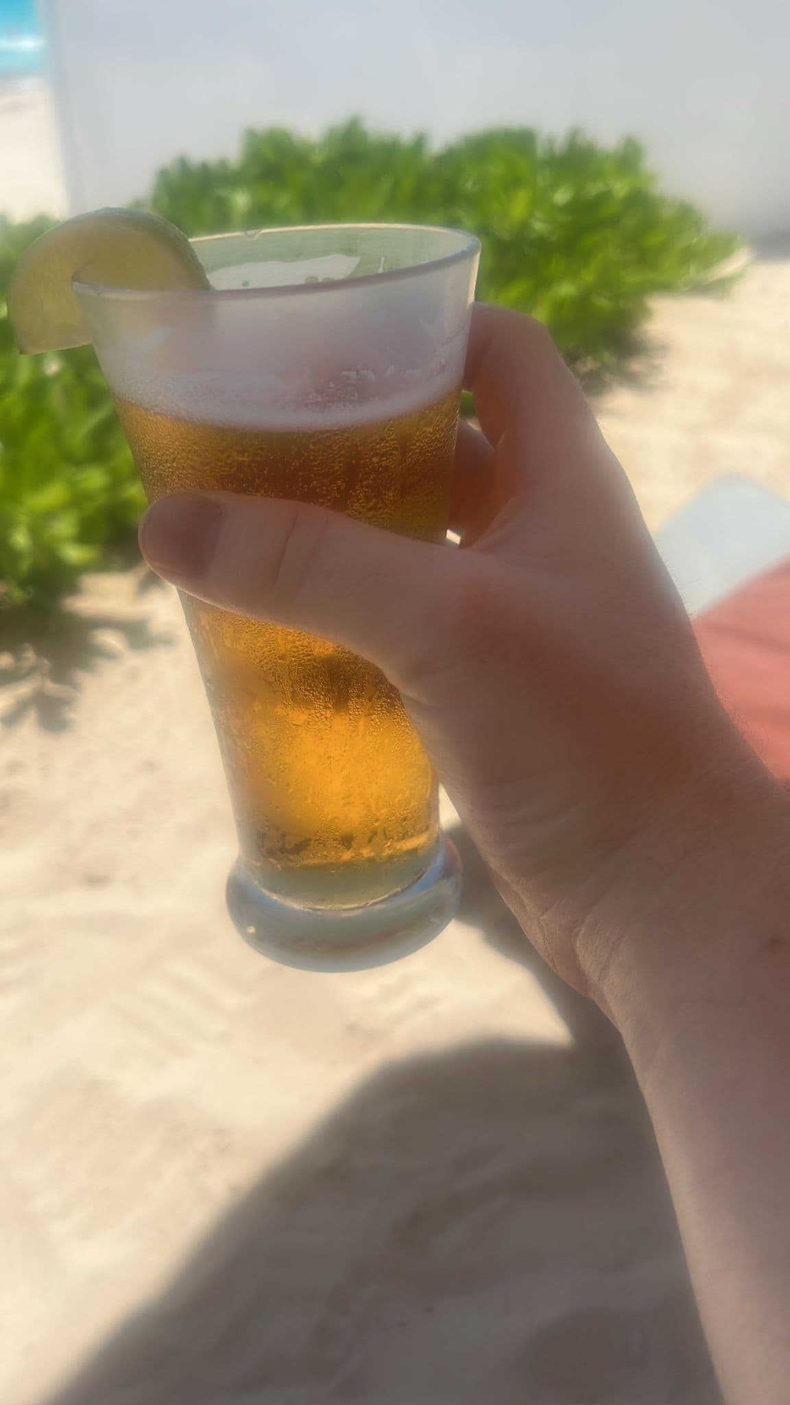 Beer #7130