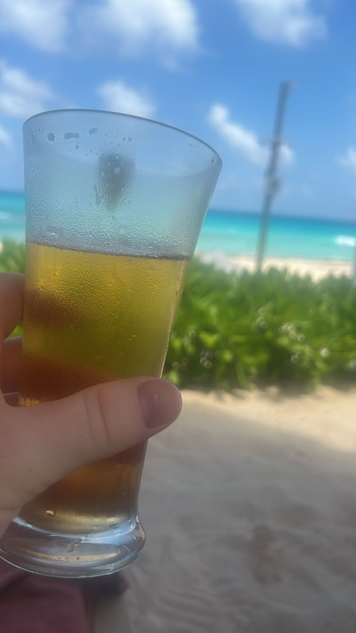 Beer #7153