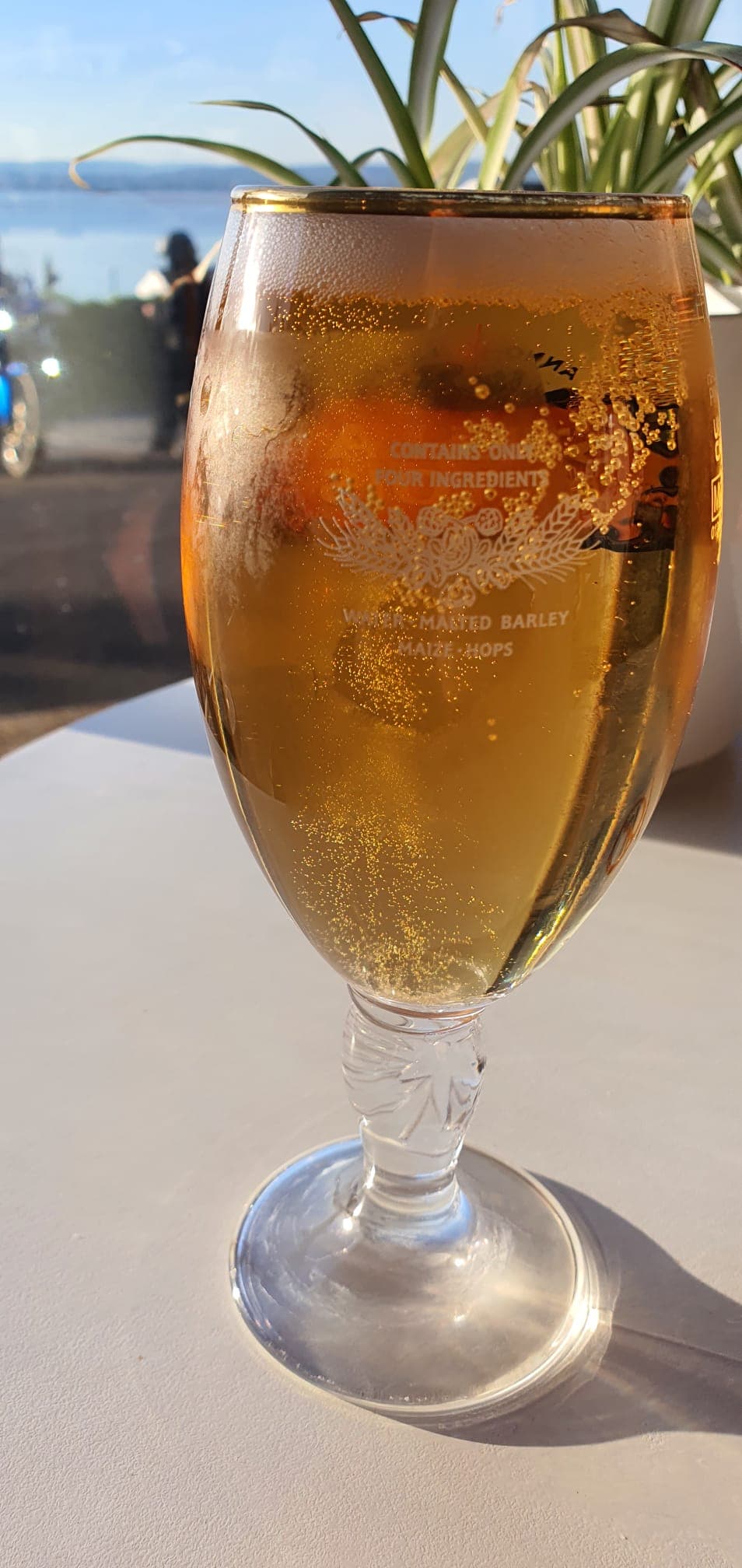 Beer #7378