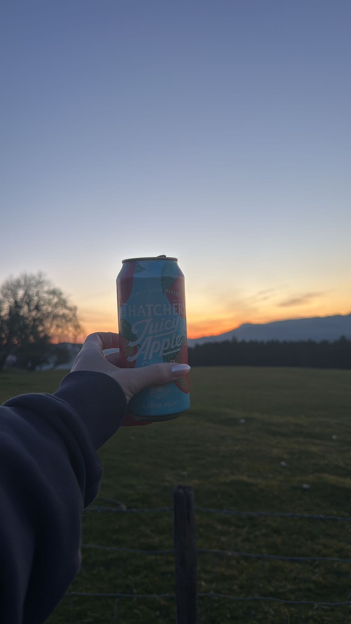 Beer #7427