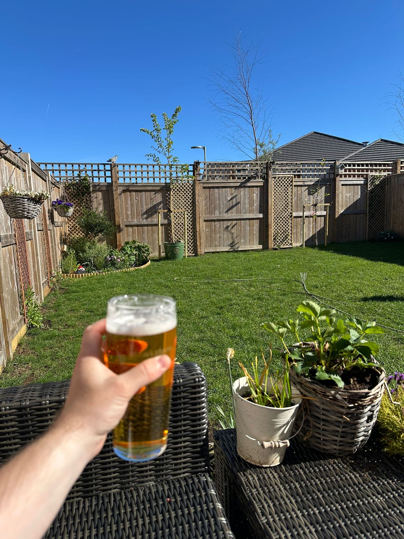 Beer #7581