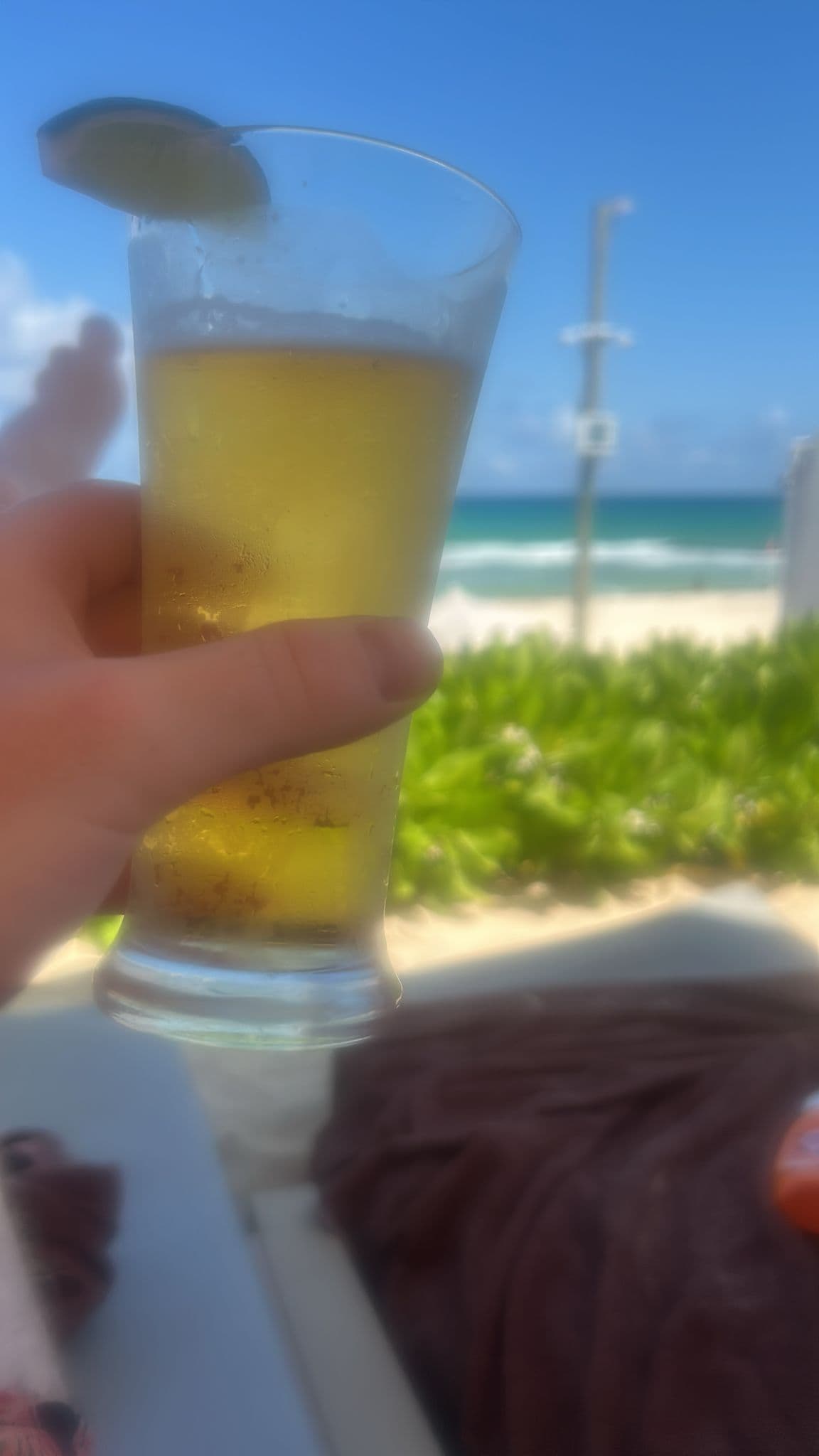 Beer #7955