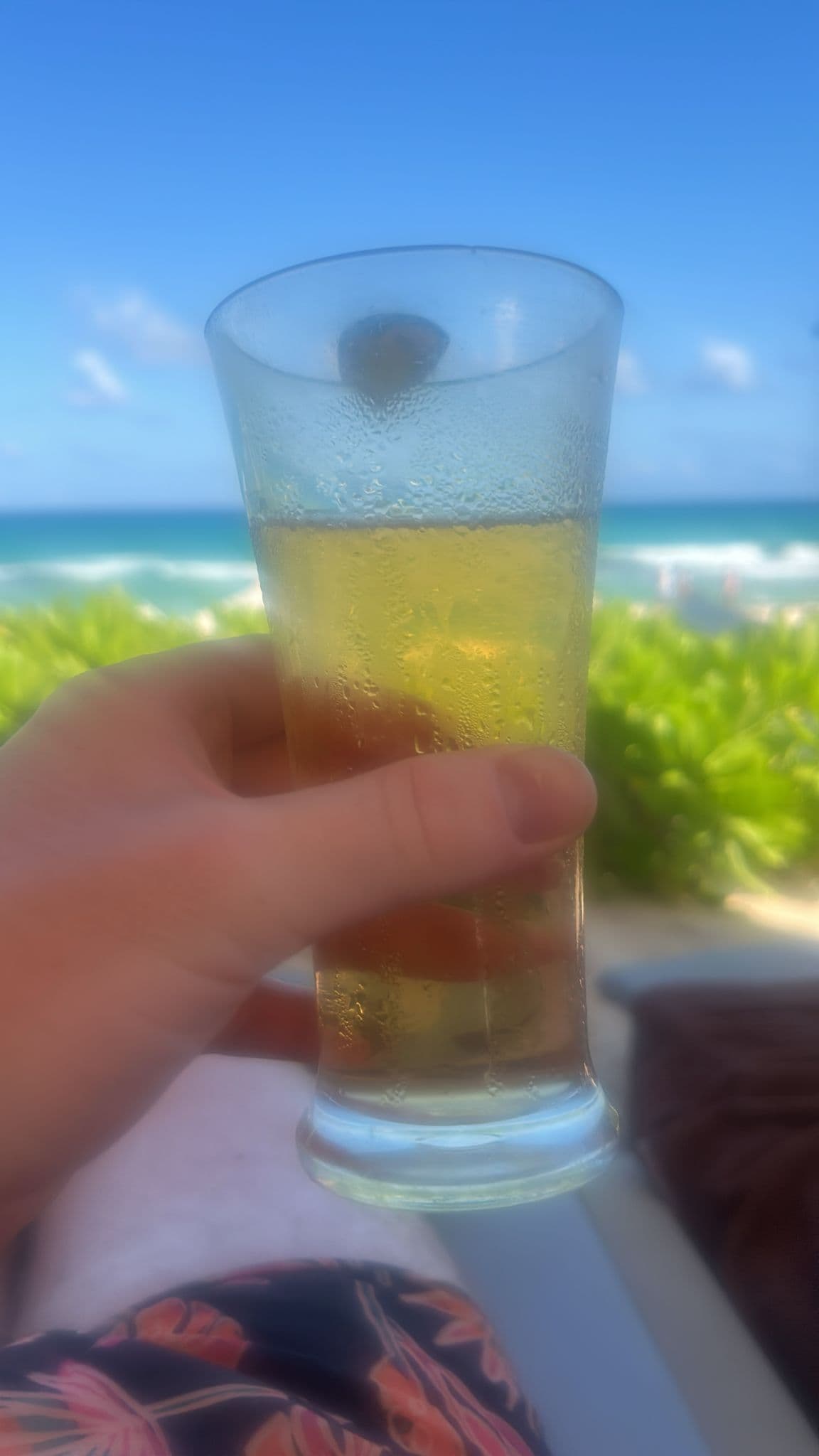 Beer #7960