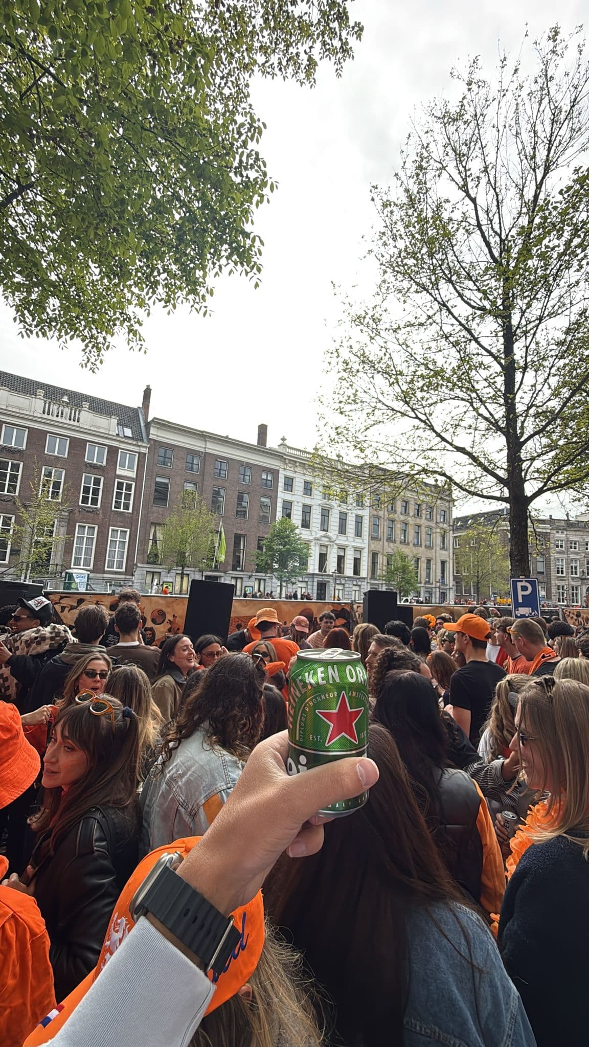 Beer #8012