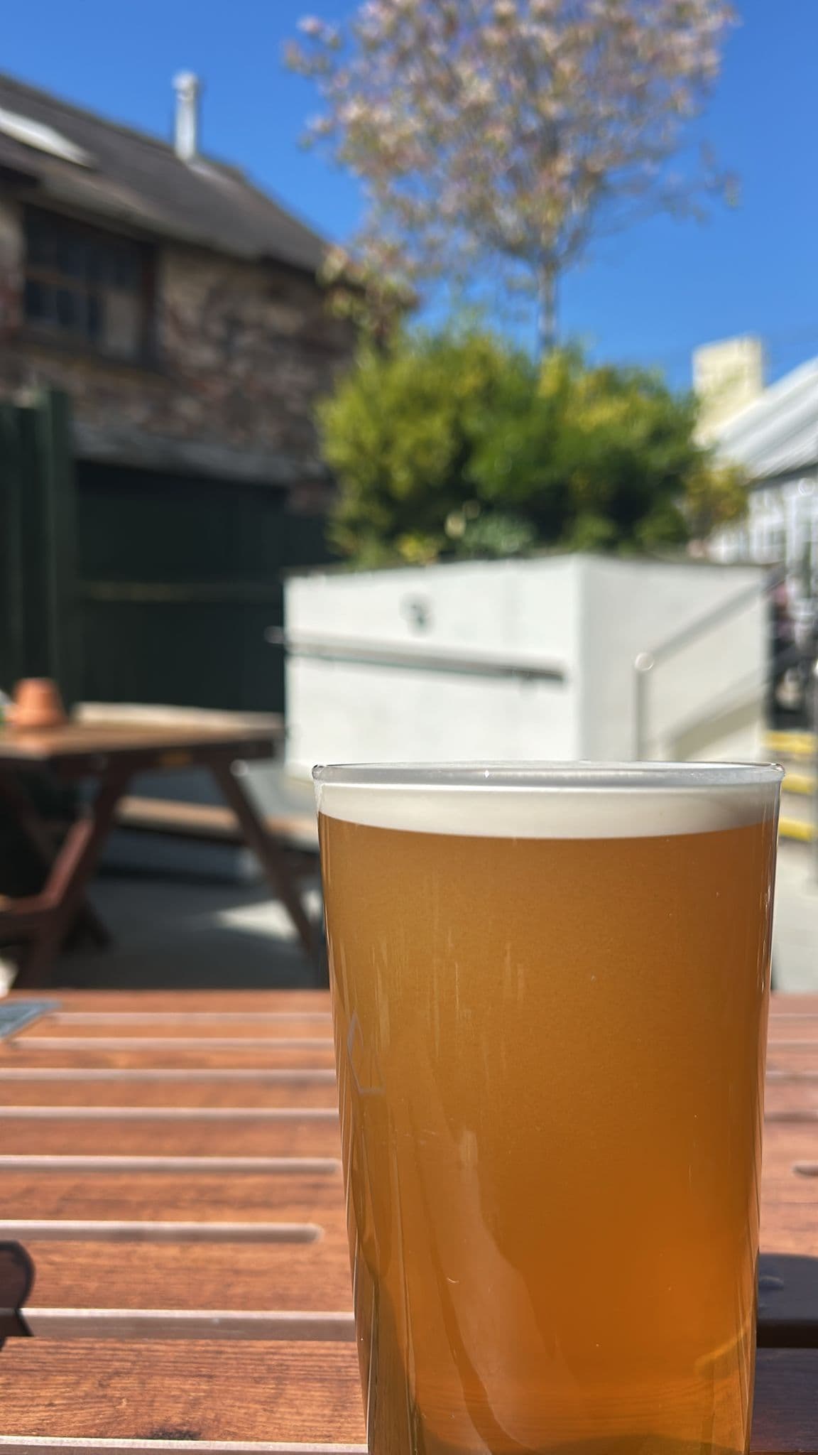 Beer #8231