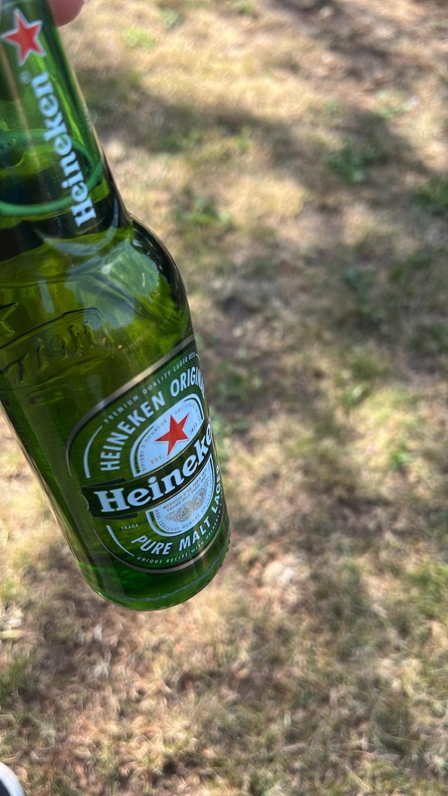Beer #8662