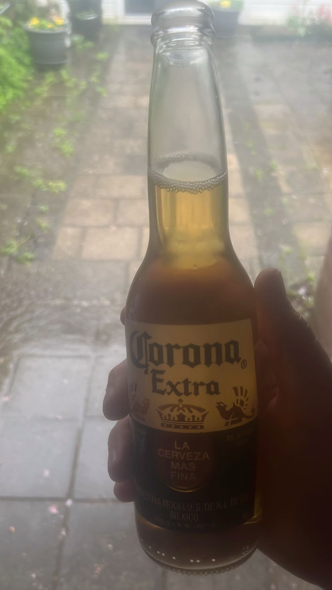 Beer #9053