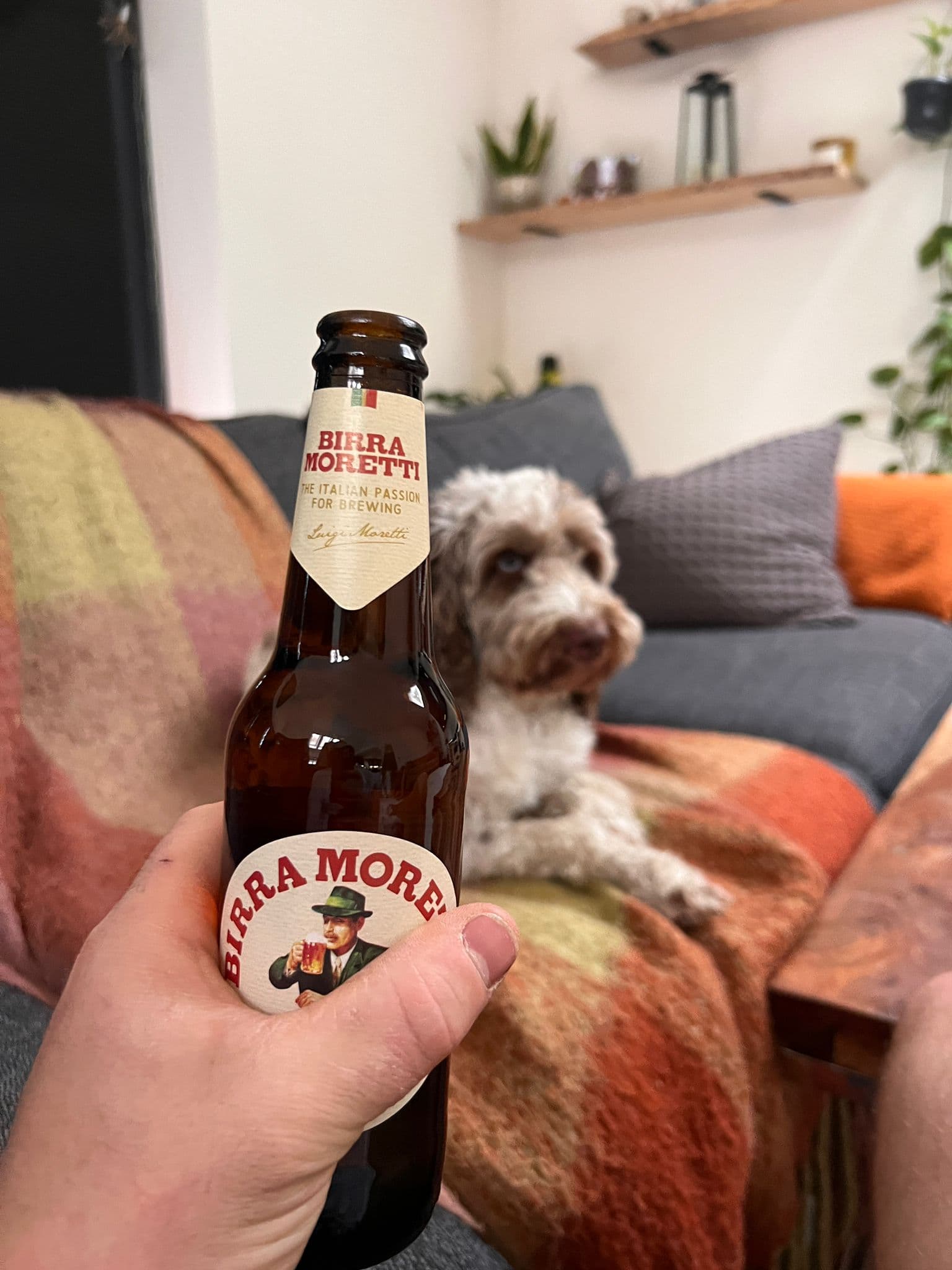 Beer #9145