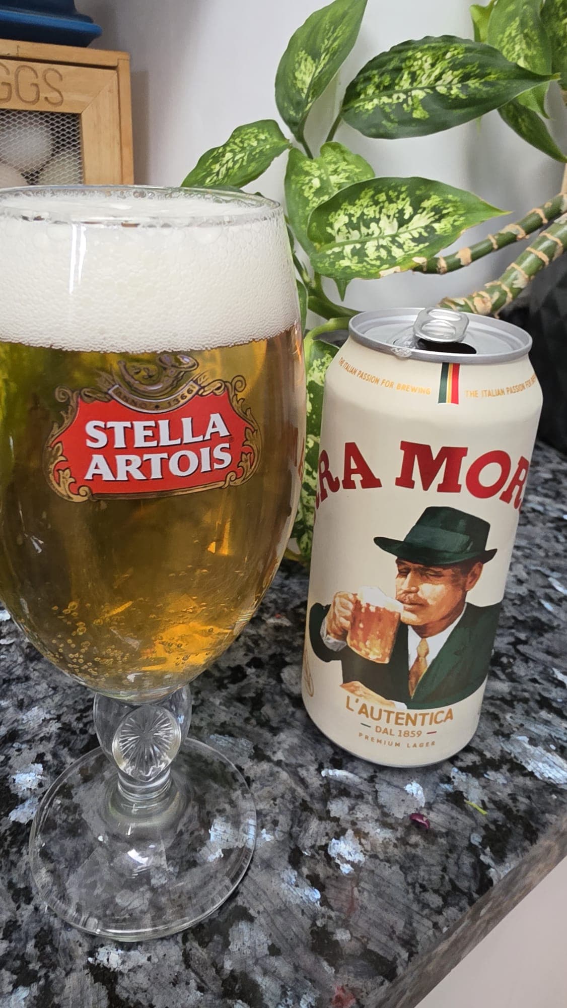 Beer #9172