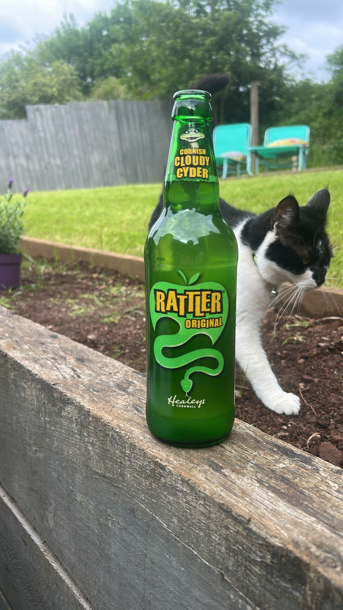 Beer #9299