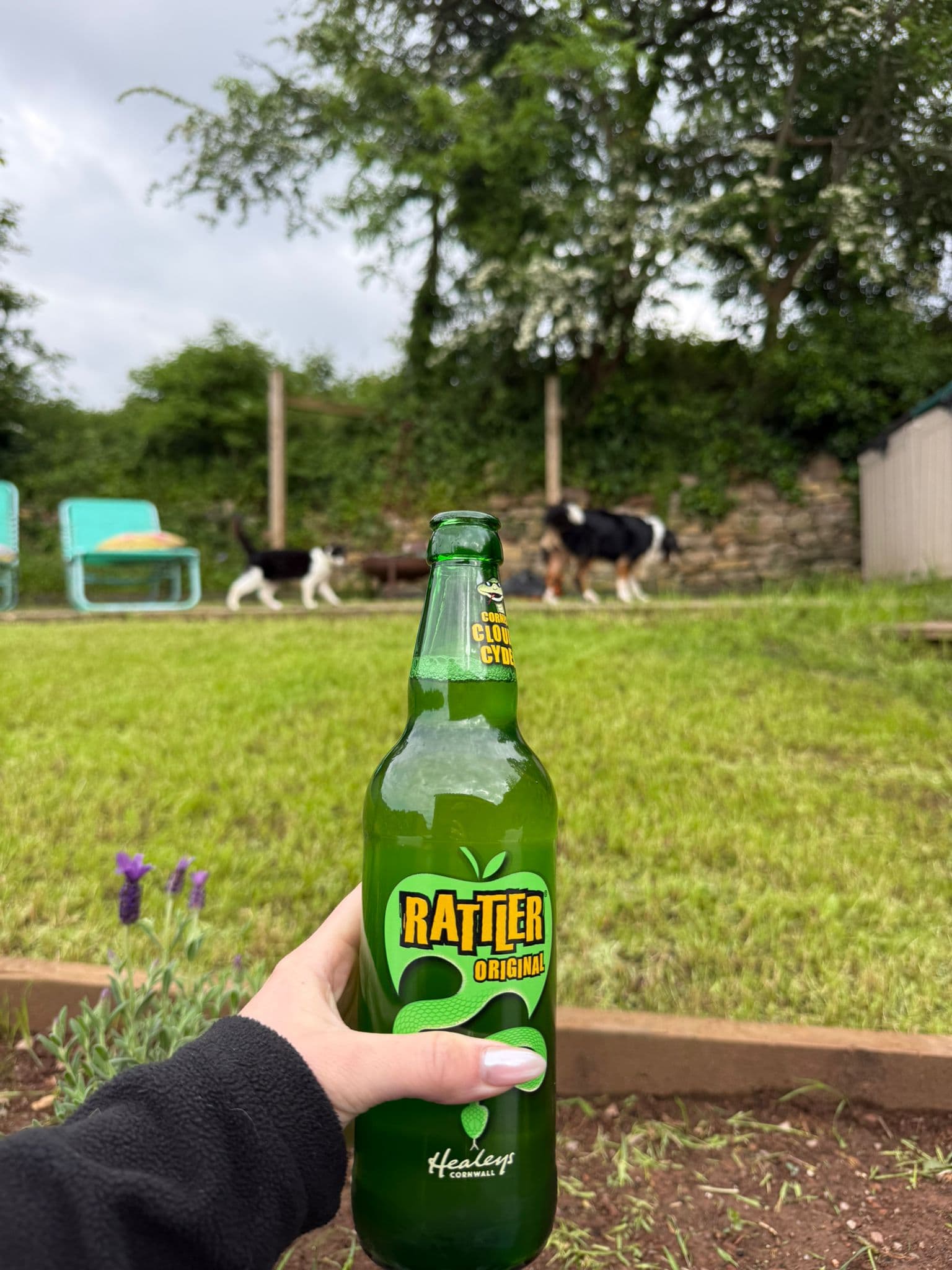 Beer #9306