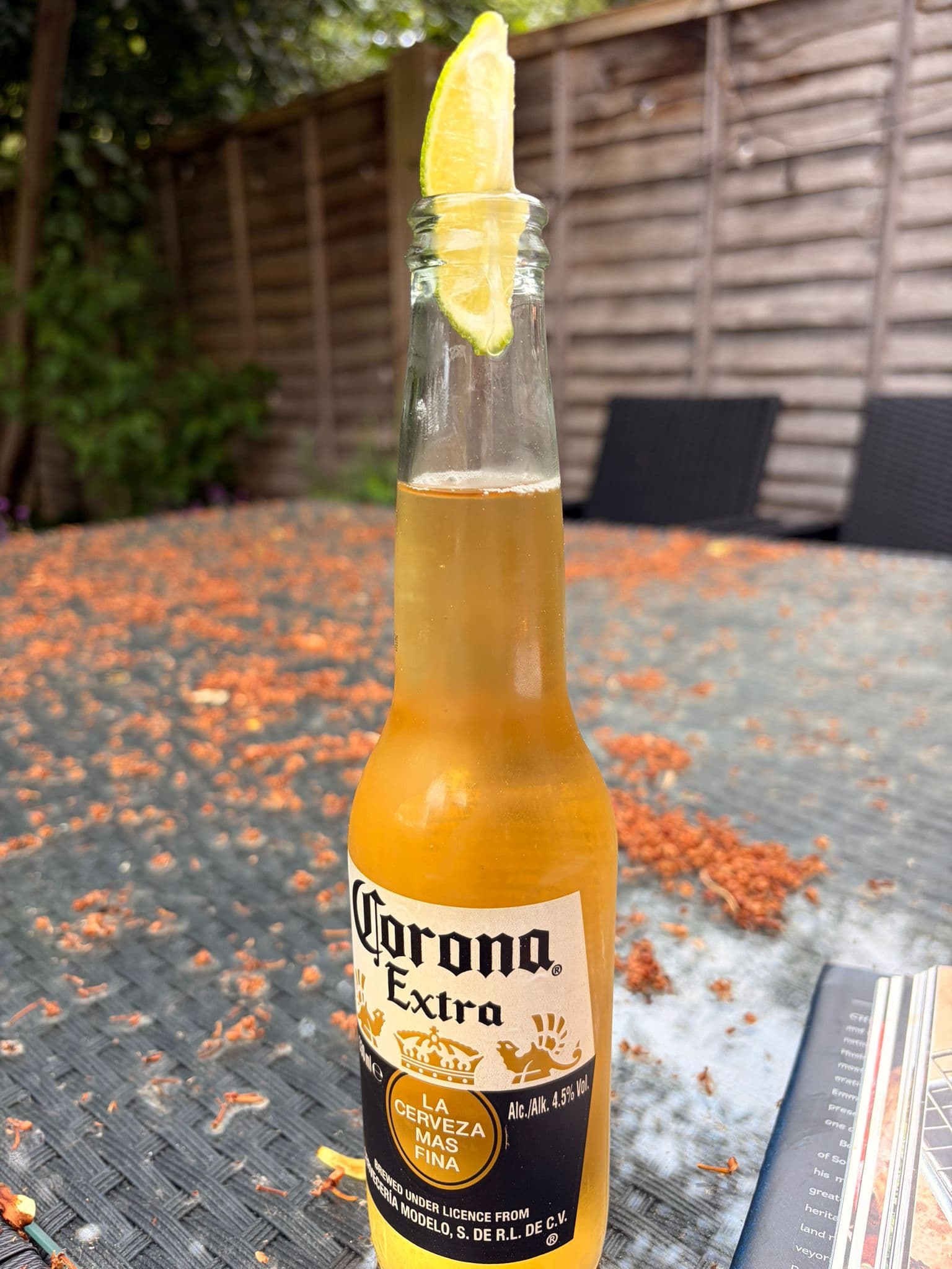Beer #9313