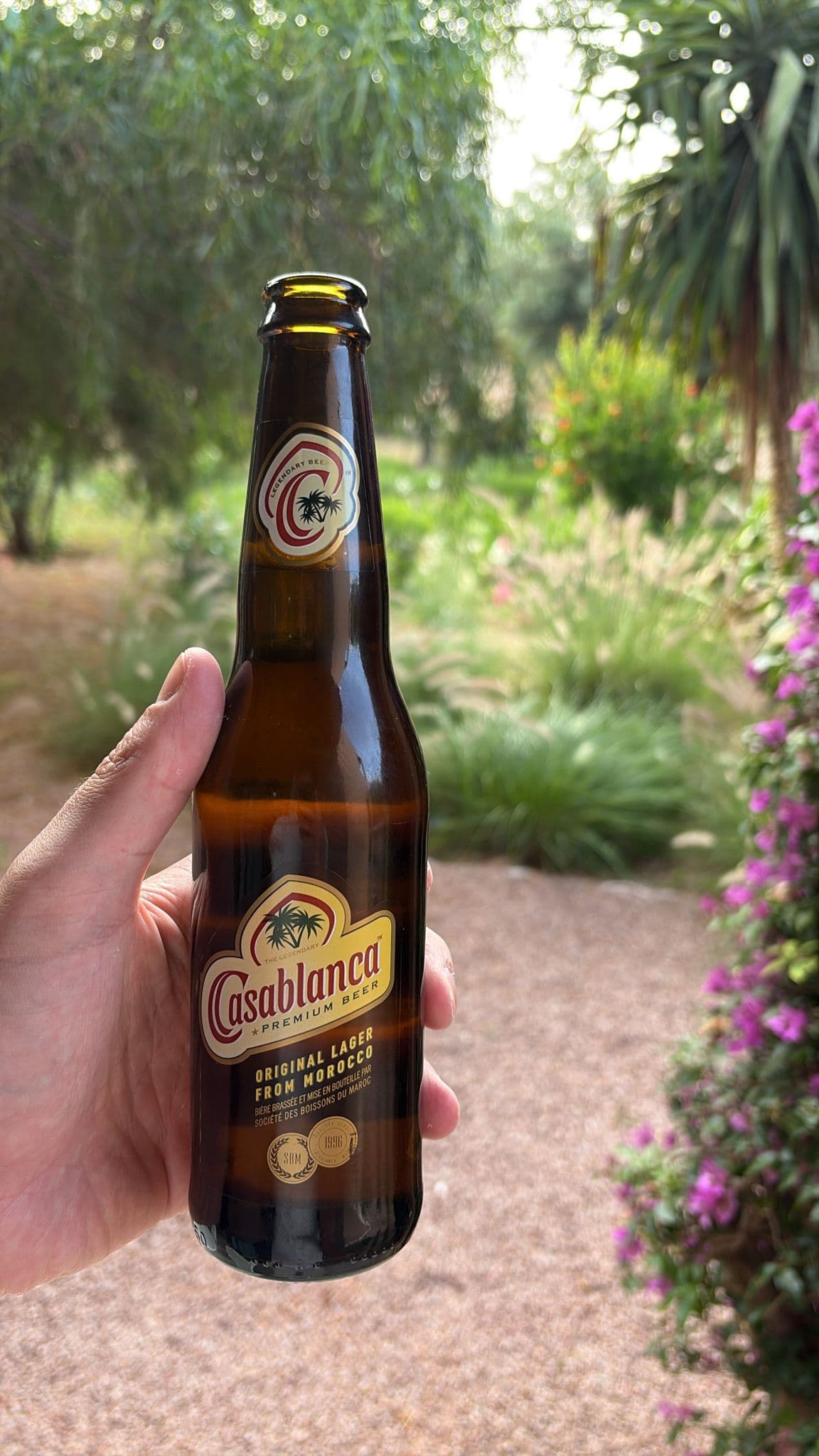 Beer #9654
