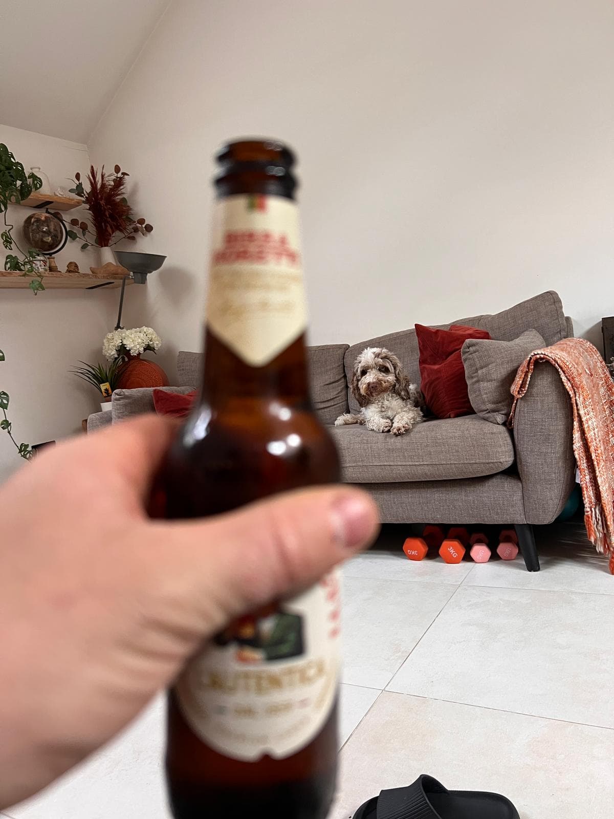 Beer #10211