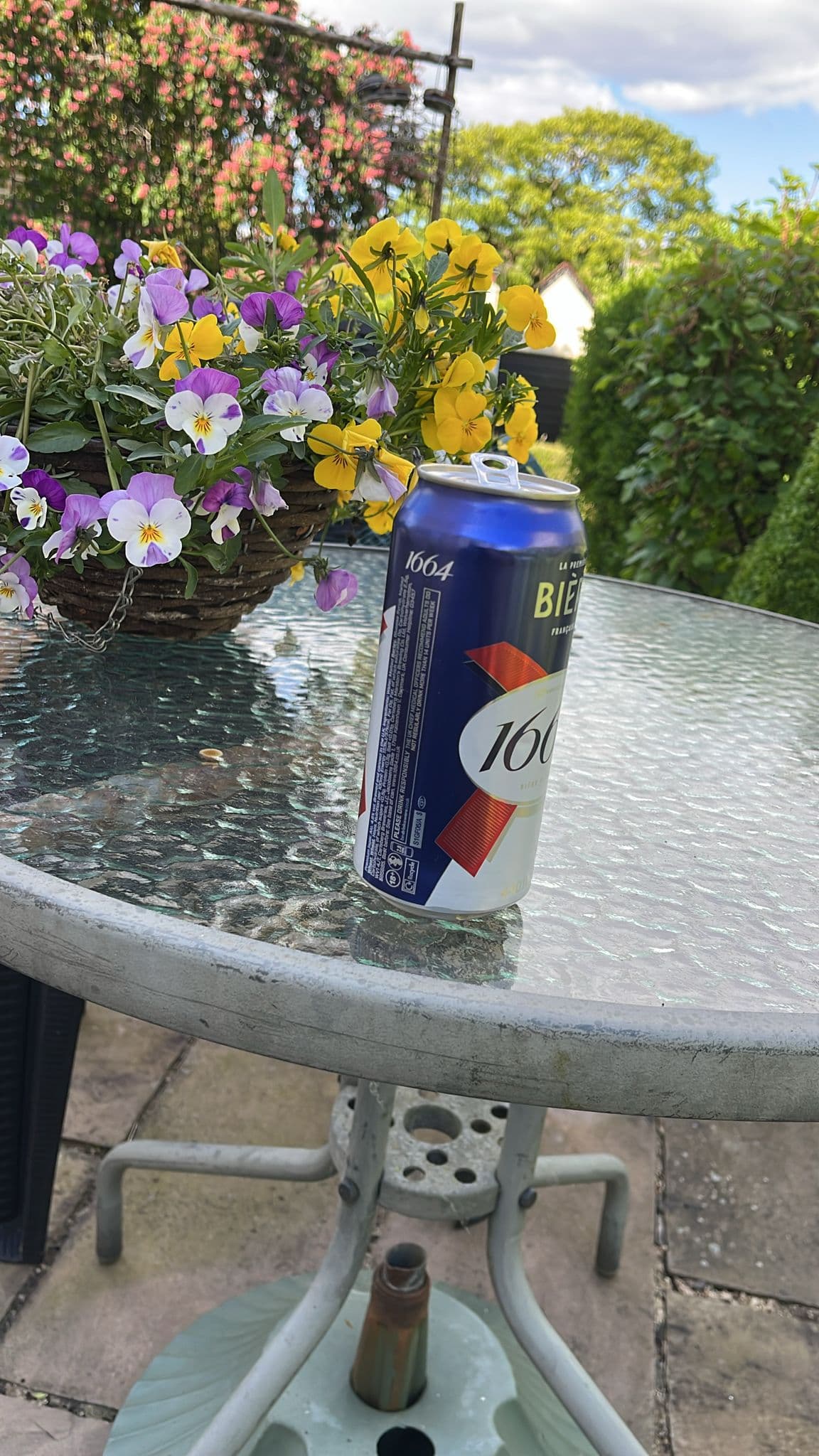 Beer #10441