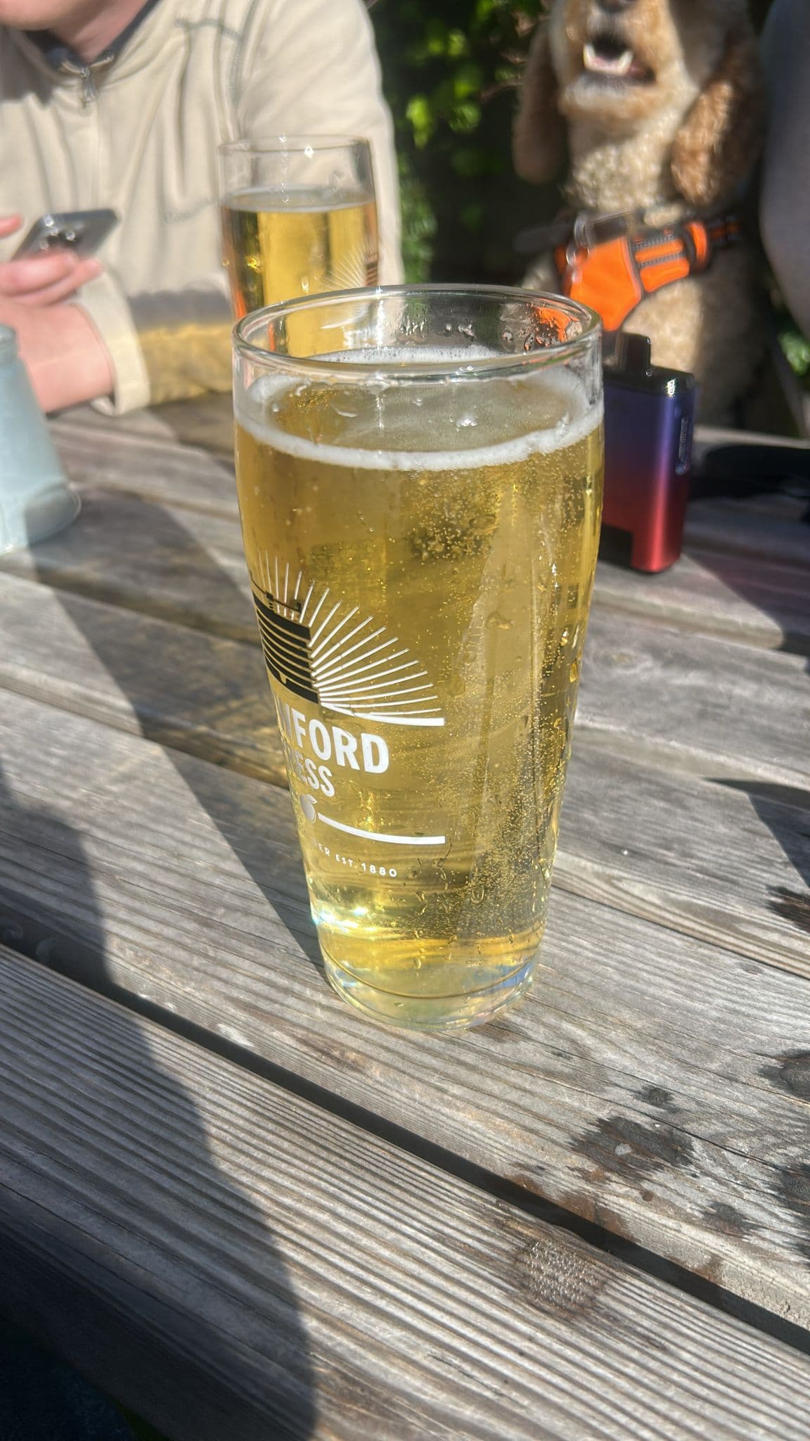 Beer #10965