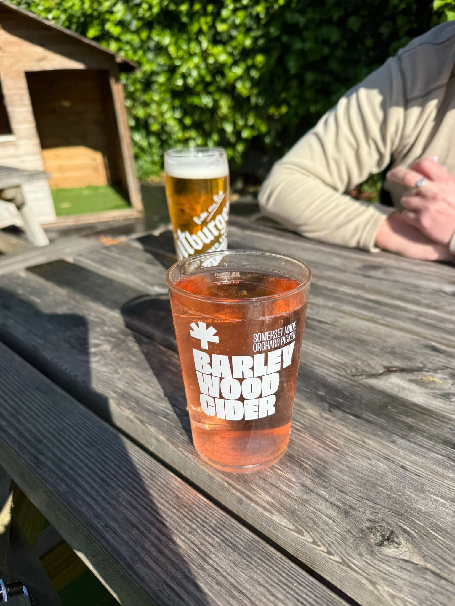 Beer #10981