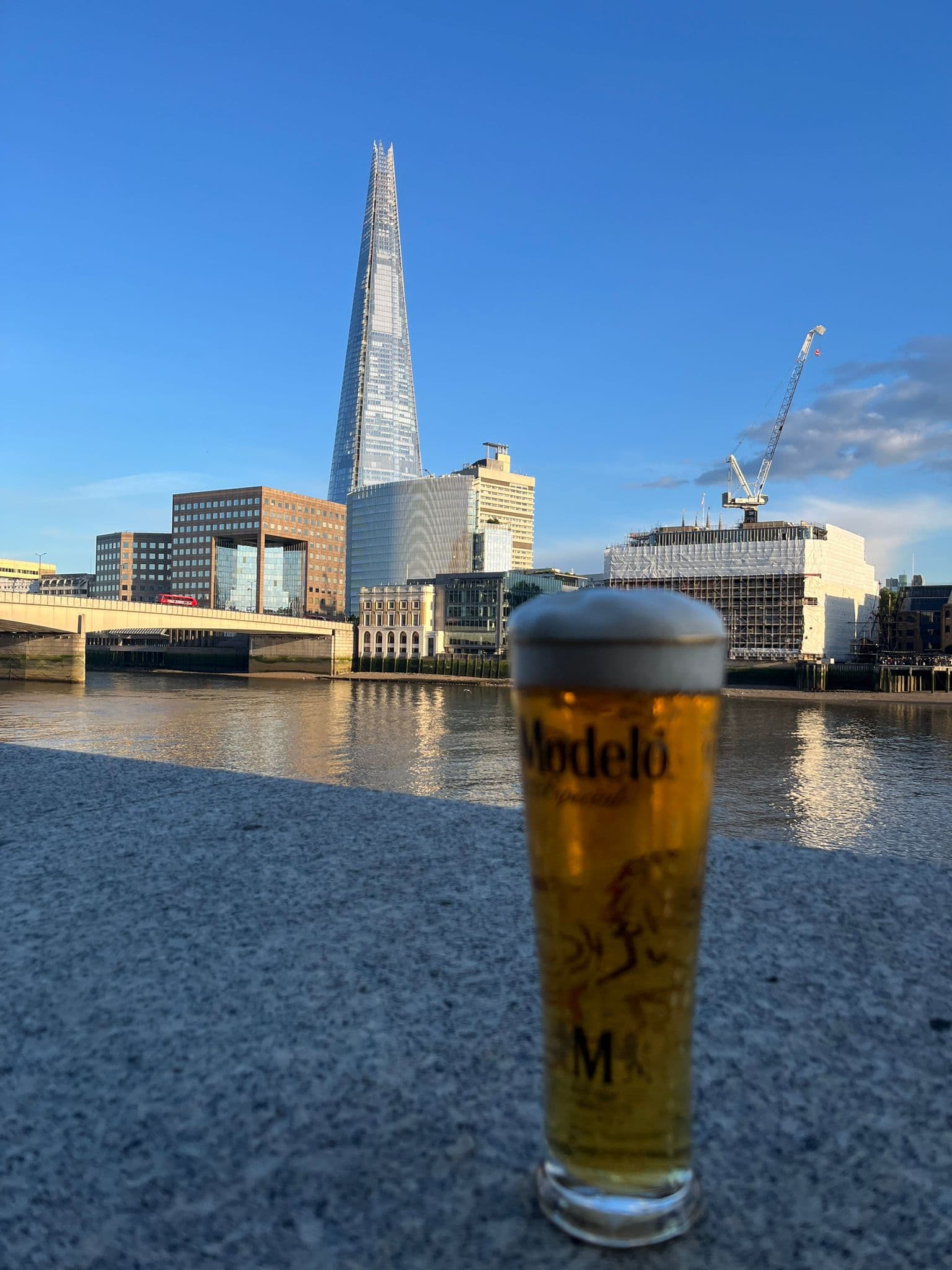 Beer #11008