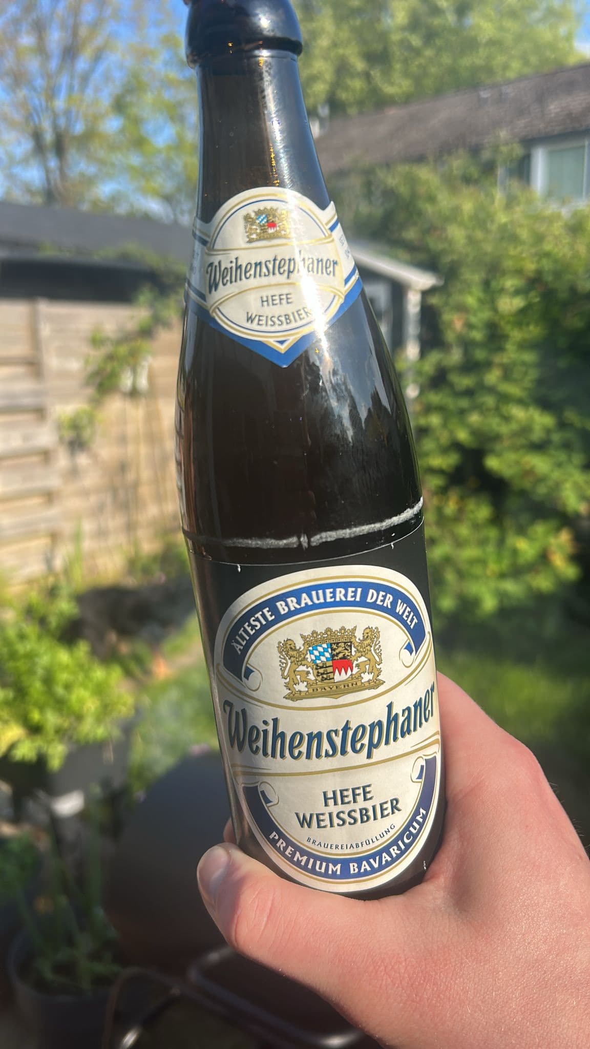Beer #11435