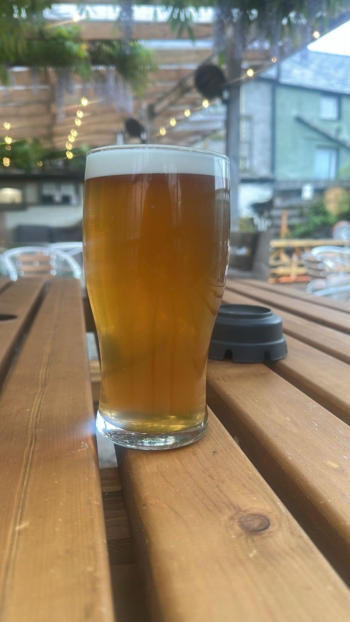 Beer #11465