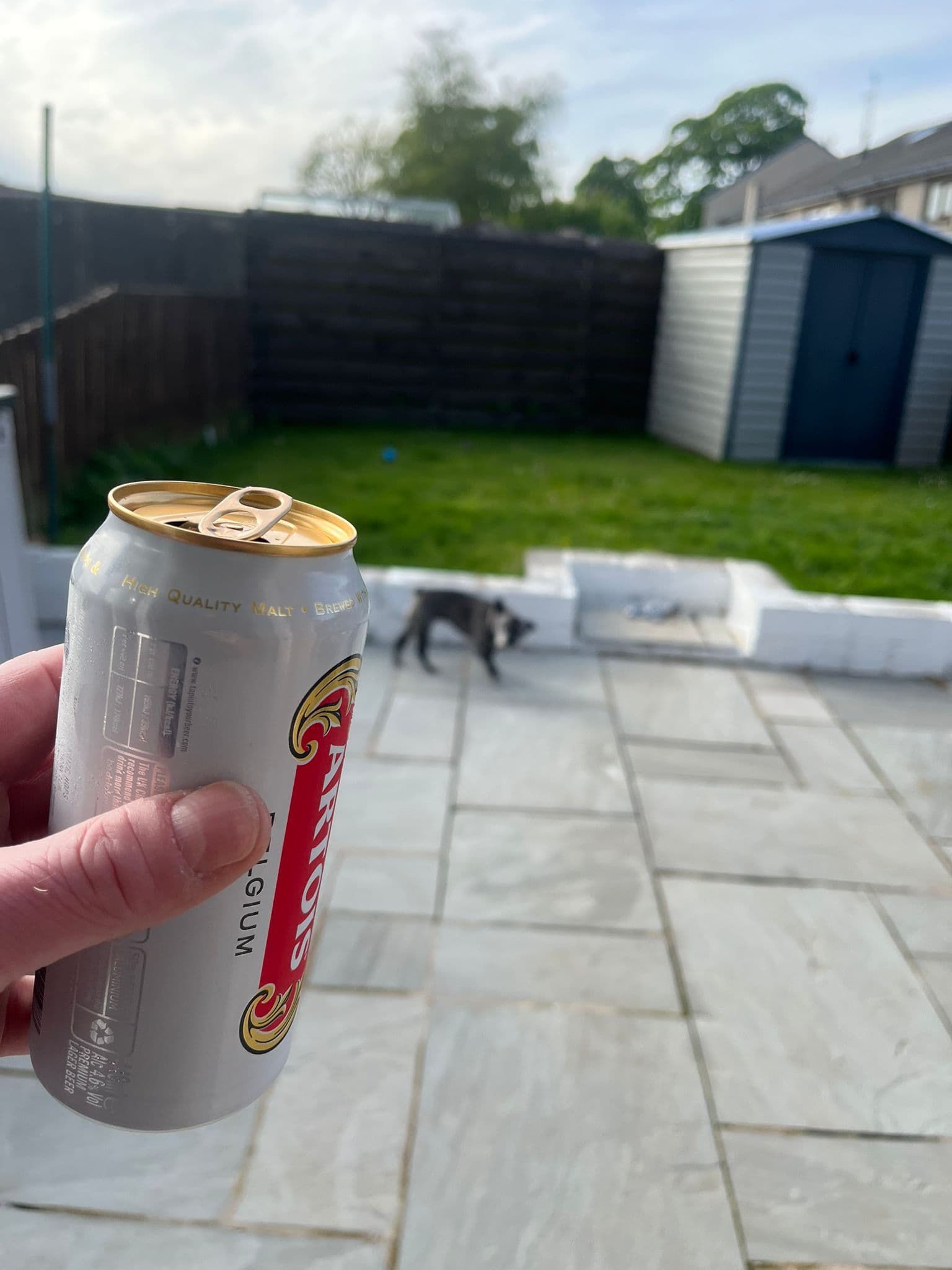 Beer #11832