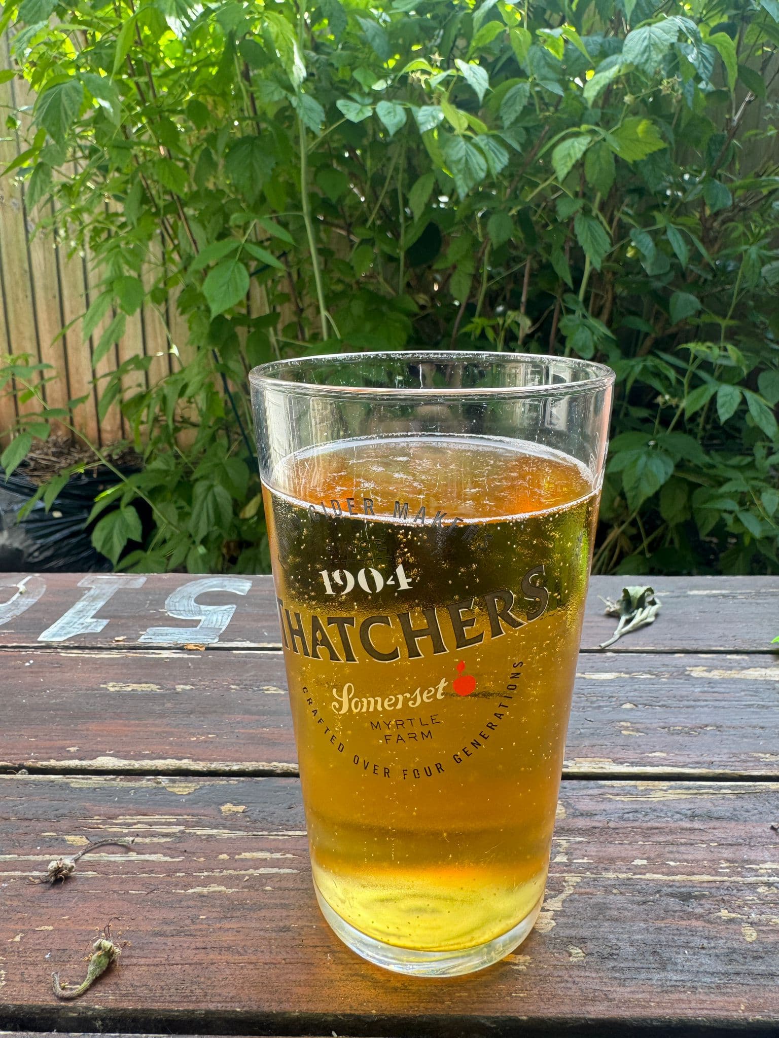 Beer #12209