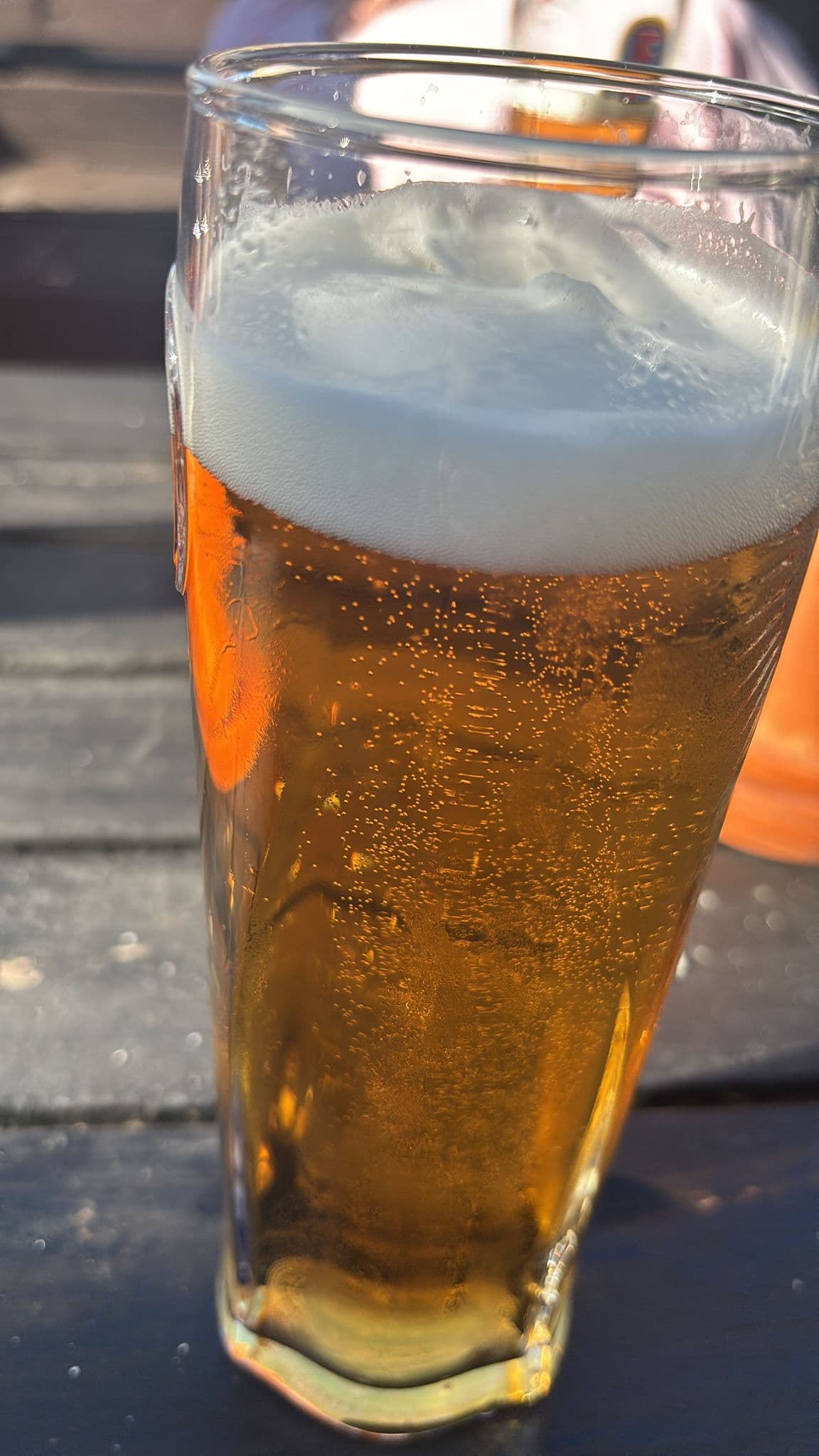 Beer #12231