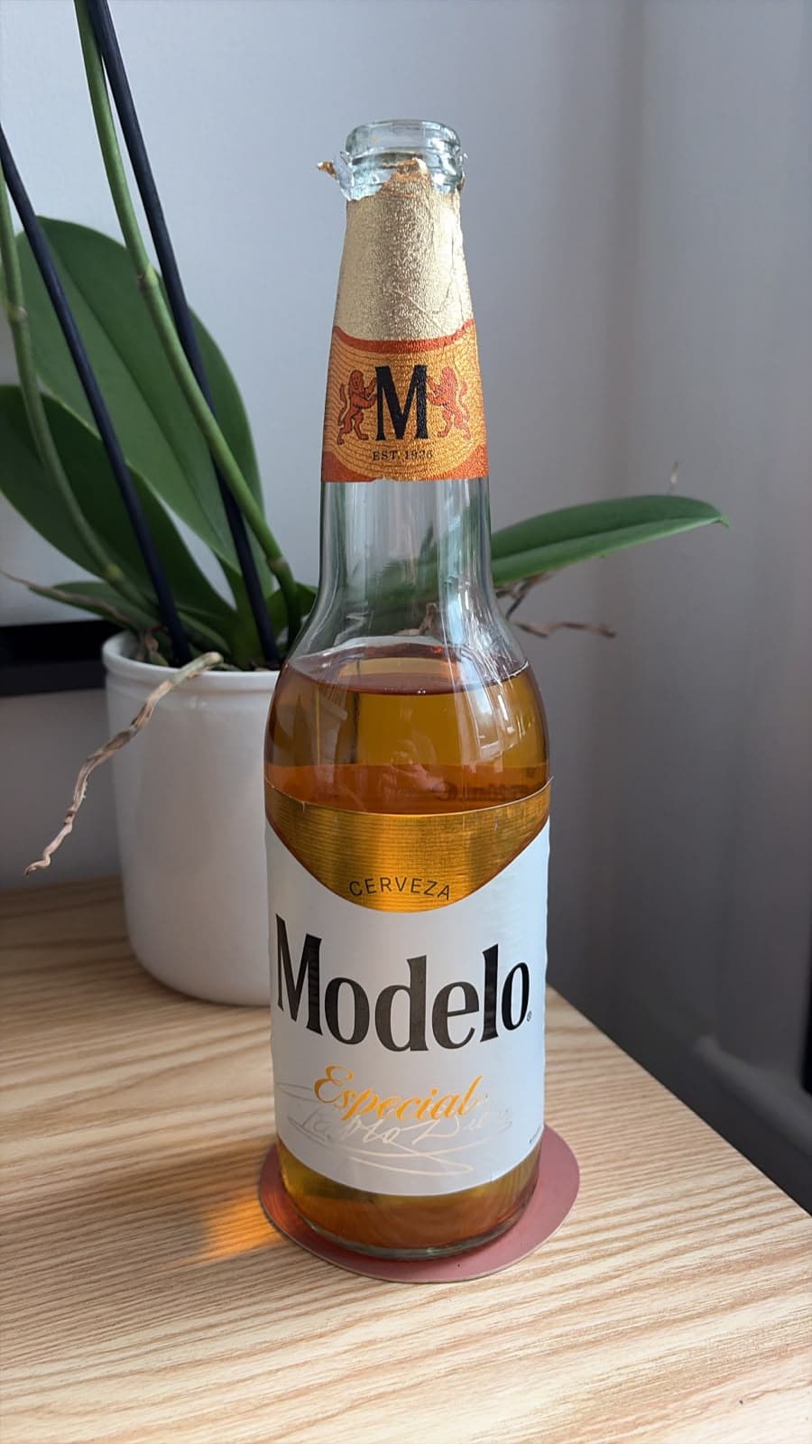 Beer #12237